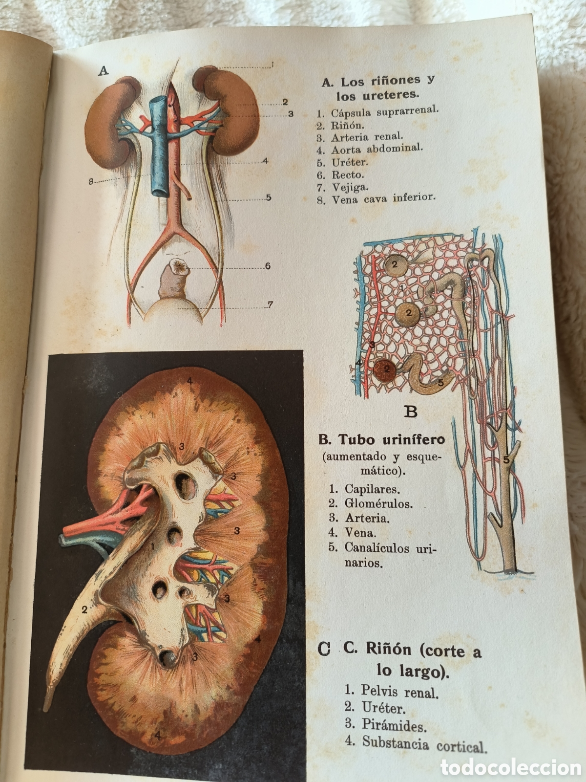 Libros de segunda mano: Libro de medicina 1933 - Foto 5