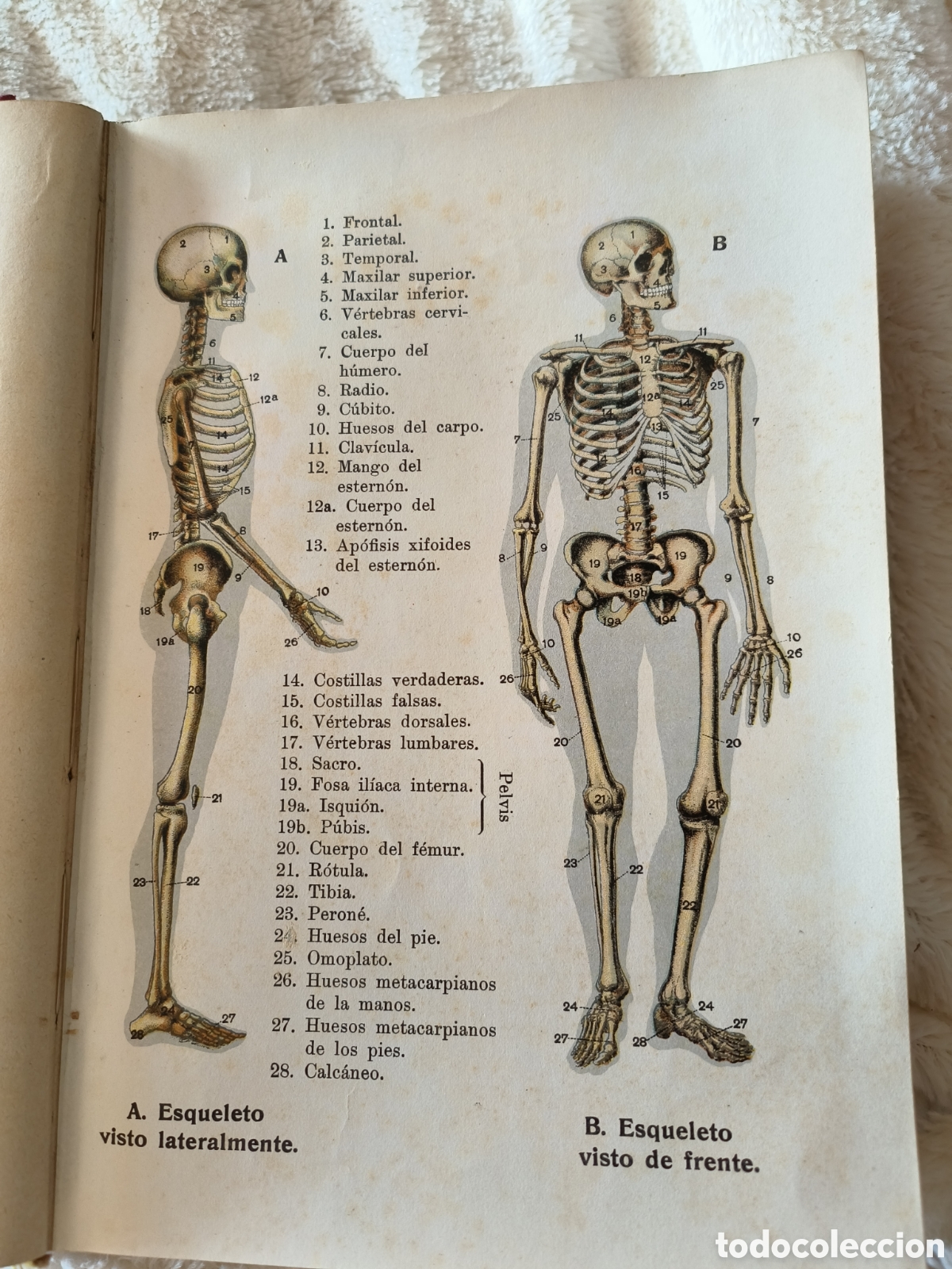 Libros de segunda mano: Libro de medicina 1933 - Foto 6