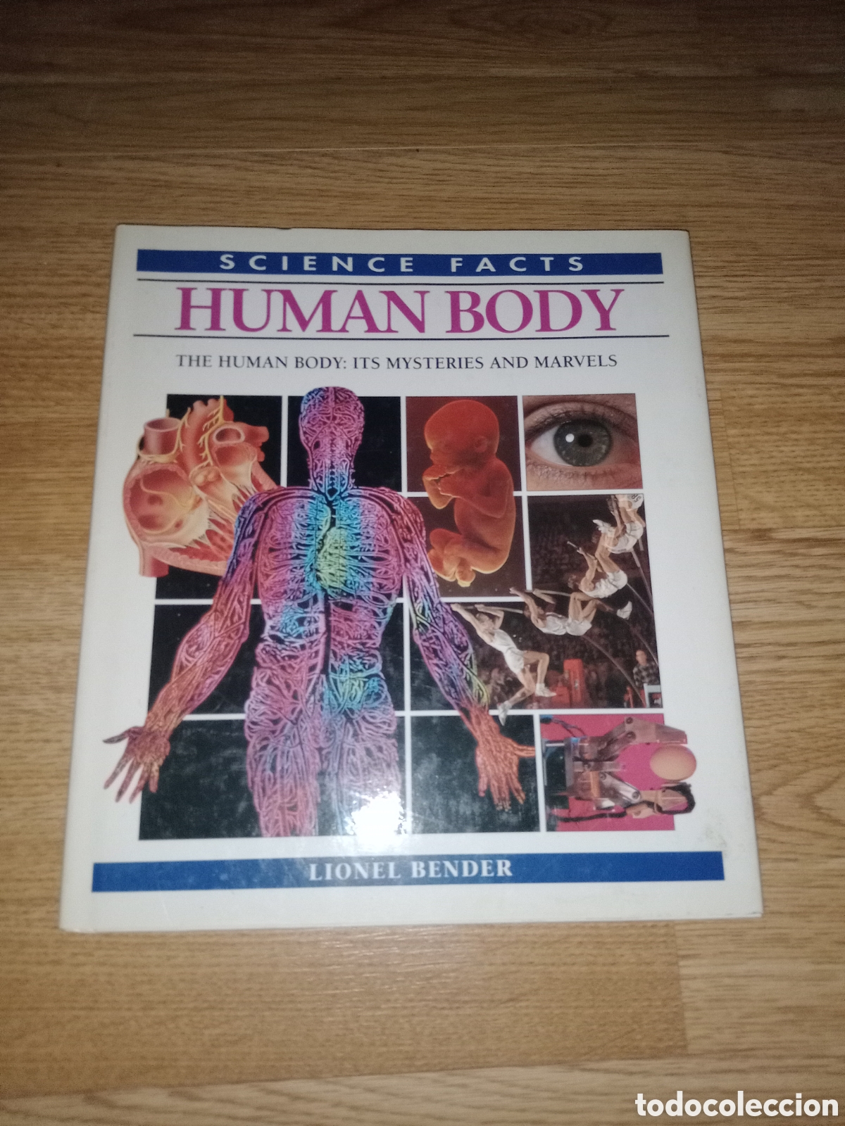 Libros de segunda mano: Toreteblanco human body - Foto 1