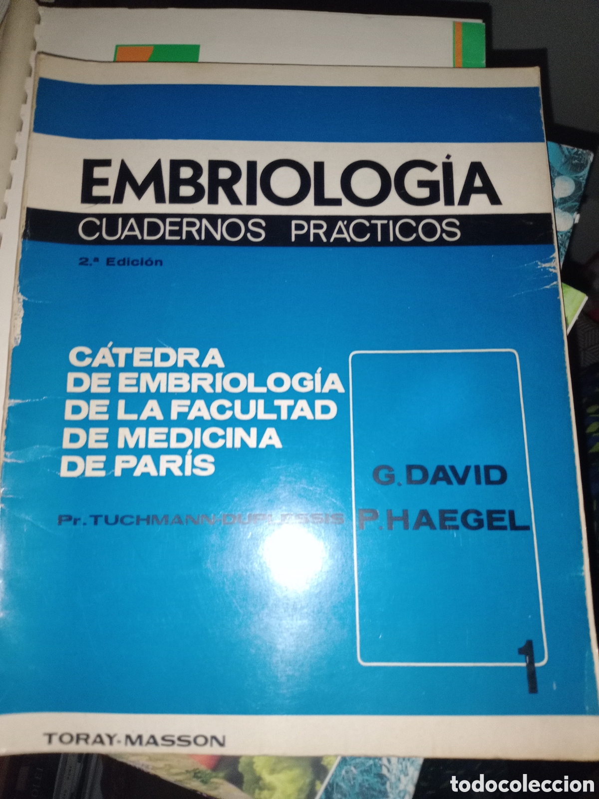 Libros de segunda mano: Toreteblanco embriolog&iacute;a cuadernos pr&aacute;cticos - Foto 1