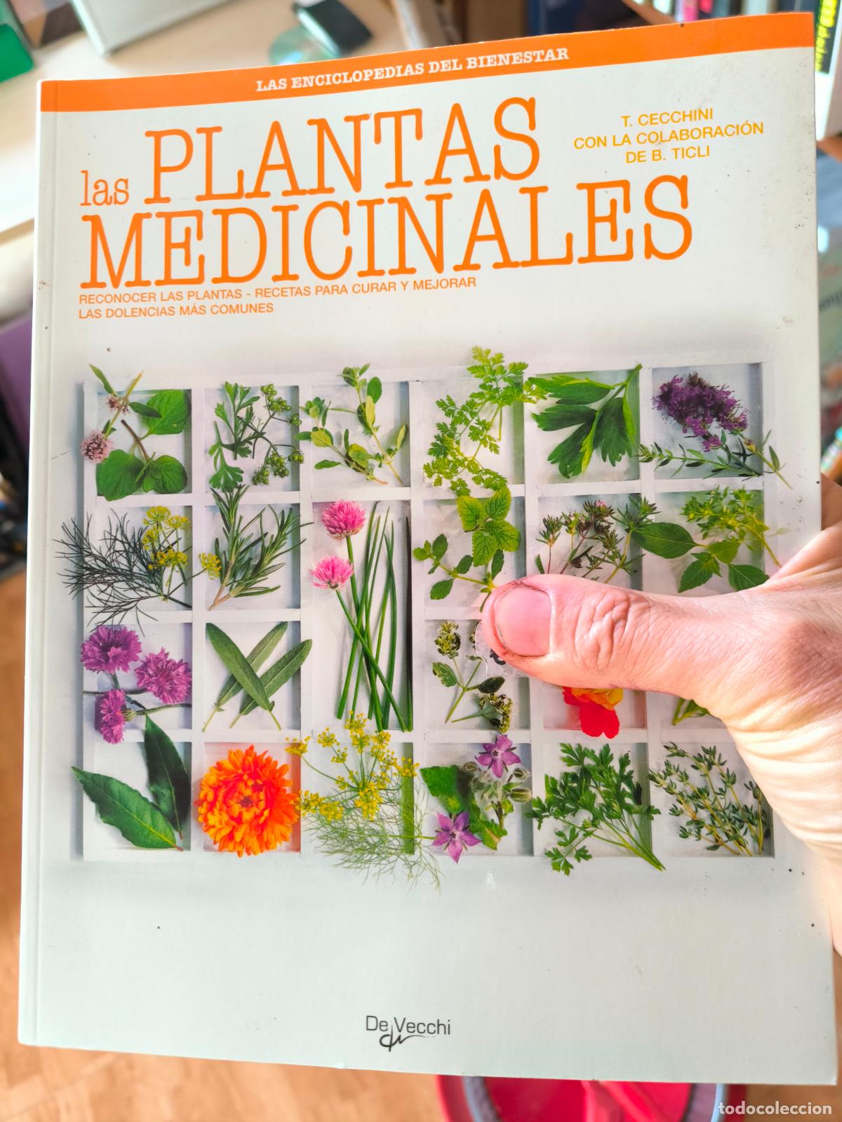 Libros de segunda mano: ENCICLOPEDIAS DEL BIENESTAR &middot; PLANTAS MEDICINALES &middot; CECCHINI &middot; SALUD NATURAL Y FITOTERAPIA