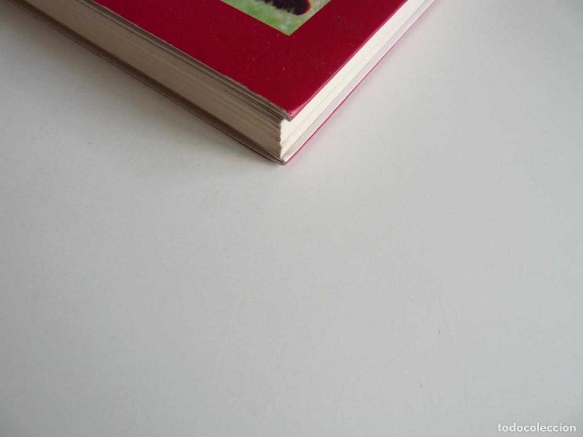 Libros de segunda mano: Gimnasa Emilio Clot Ref: 2-480 - Foto 2