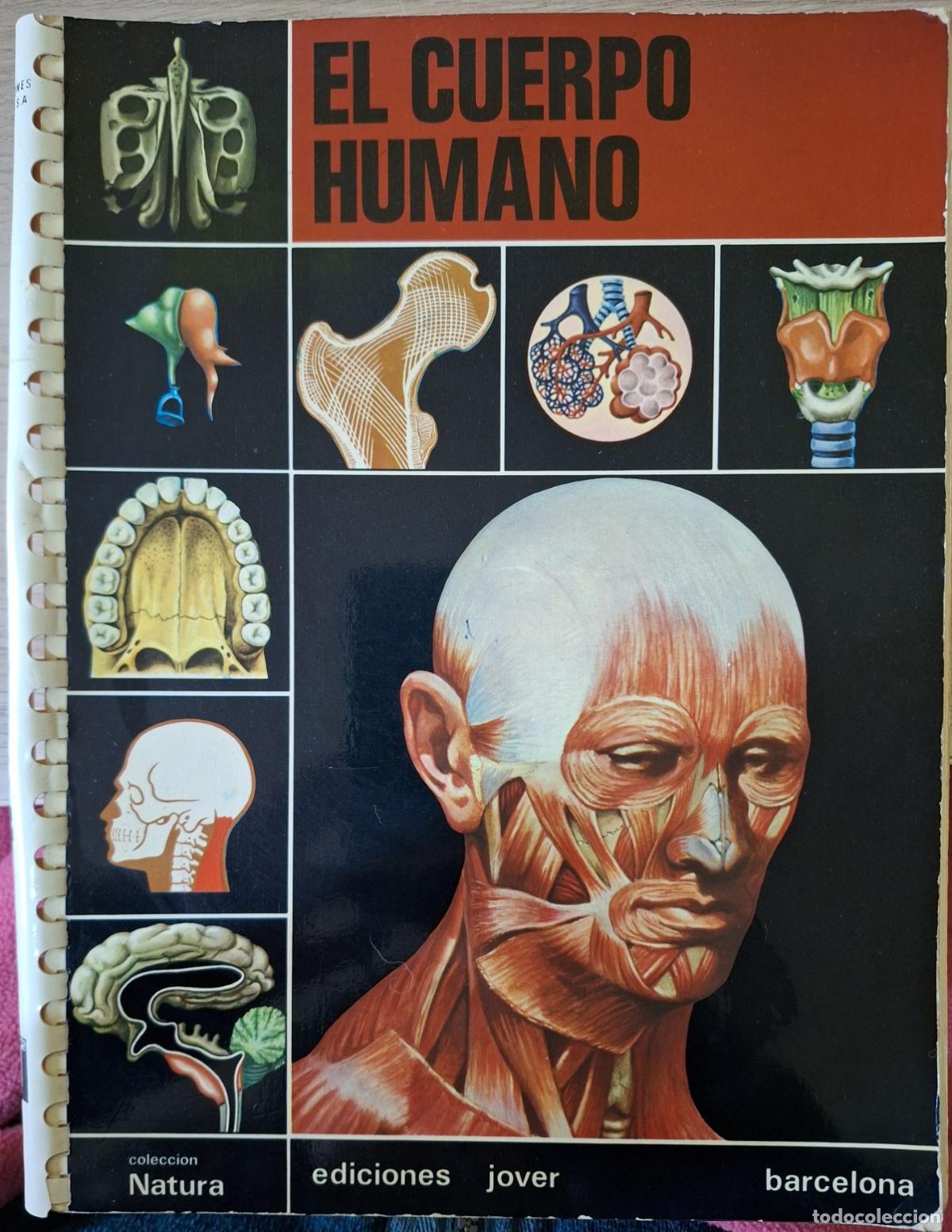 Libri di seconda mano: EL CUERPO HUMANO. - DURFORT COLL/MERCADE SOCORO, M./N.
