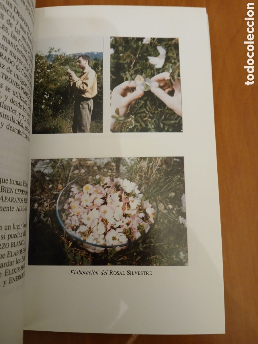 Libros de segunda mano: C&oacute;mo elaborar tu elixir floral. Ricard Montseny. - Foto 12