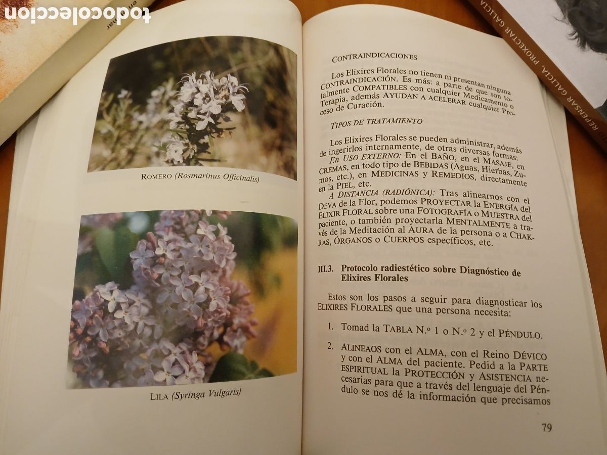 Libros de segunda mano: C&oacute;mo elaborar tu elixir floral. Ricard Montseny. - Foto 13