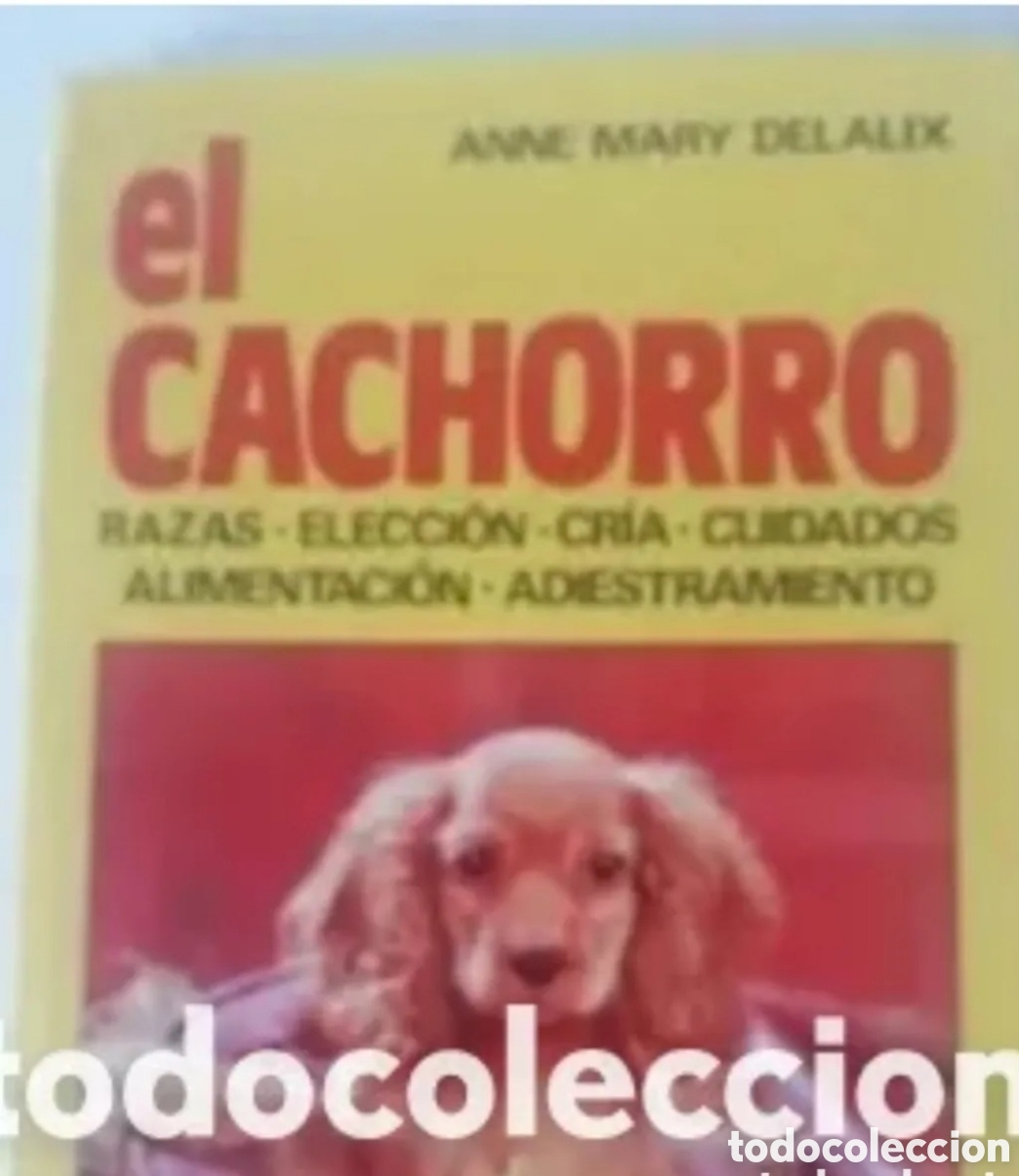 Livros em segunda m&atilde;o: El cachorro gu&iacute;a cuidados