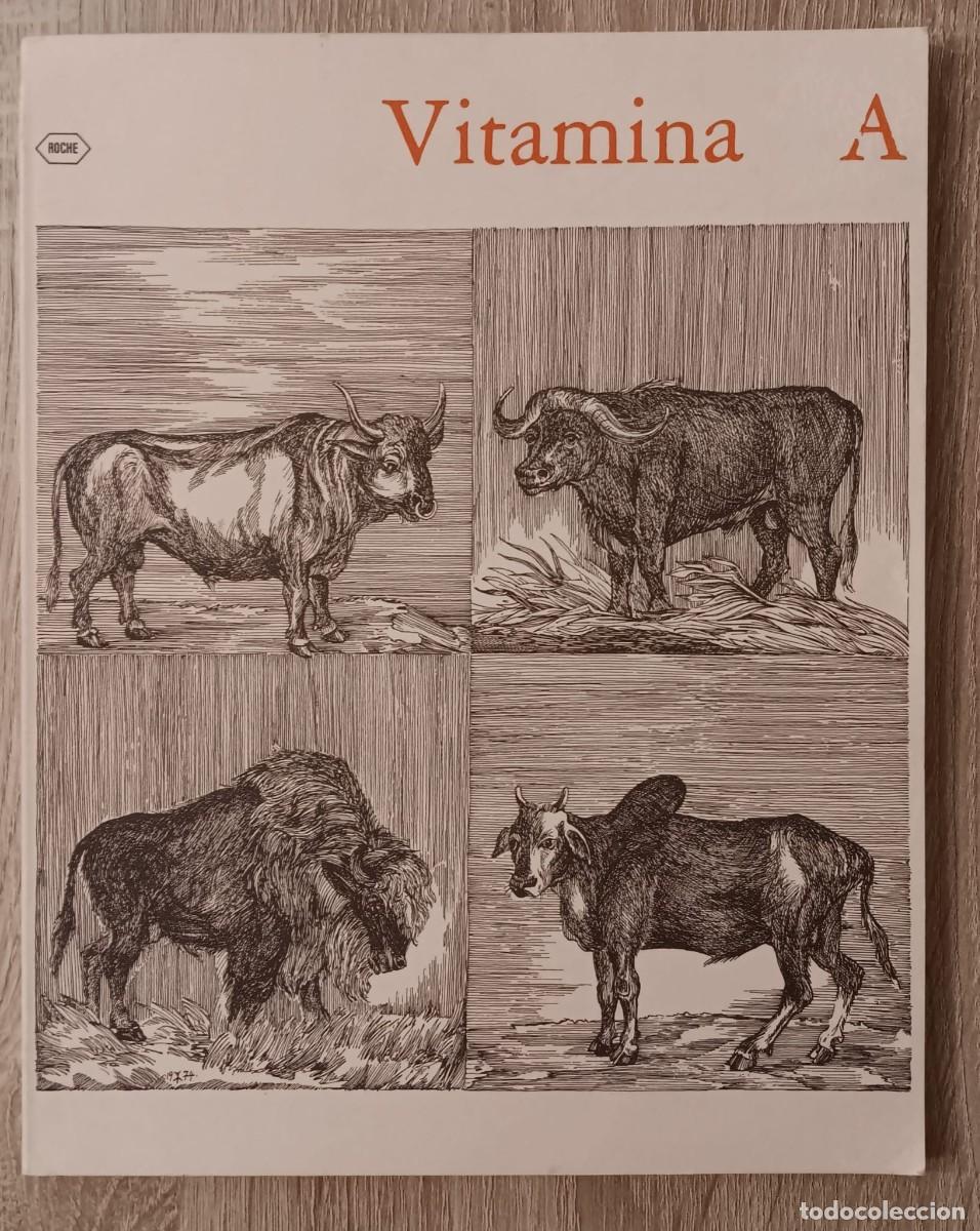 Libros de segunda mano: BONITO LIBRO VITAMINA A ROCHE 1975 - Foto 1