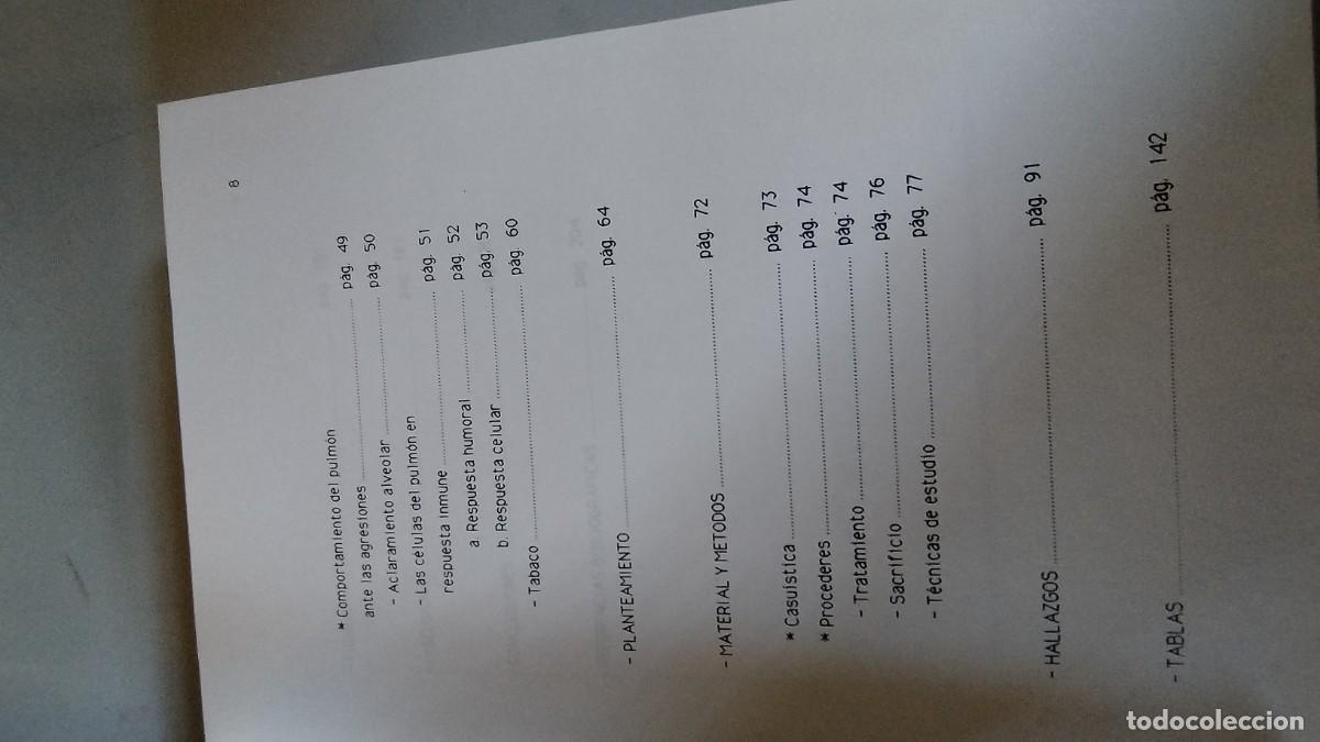 Additional photo 5