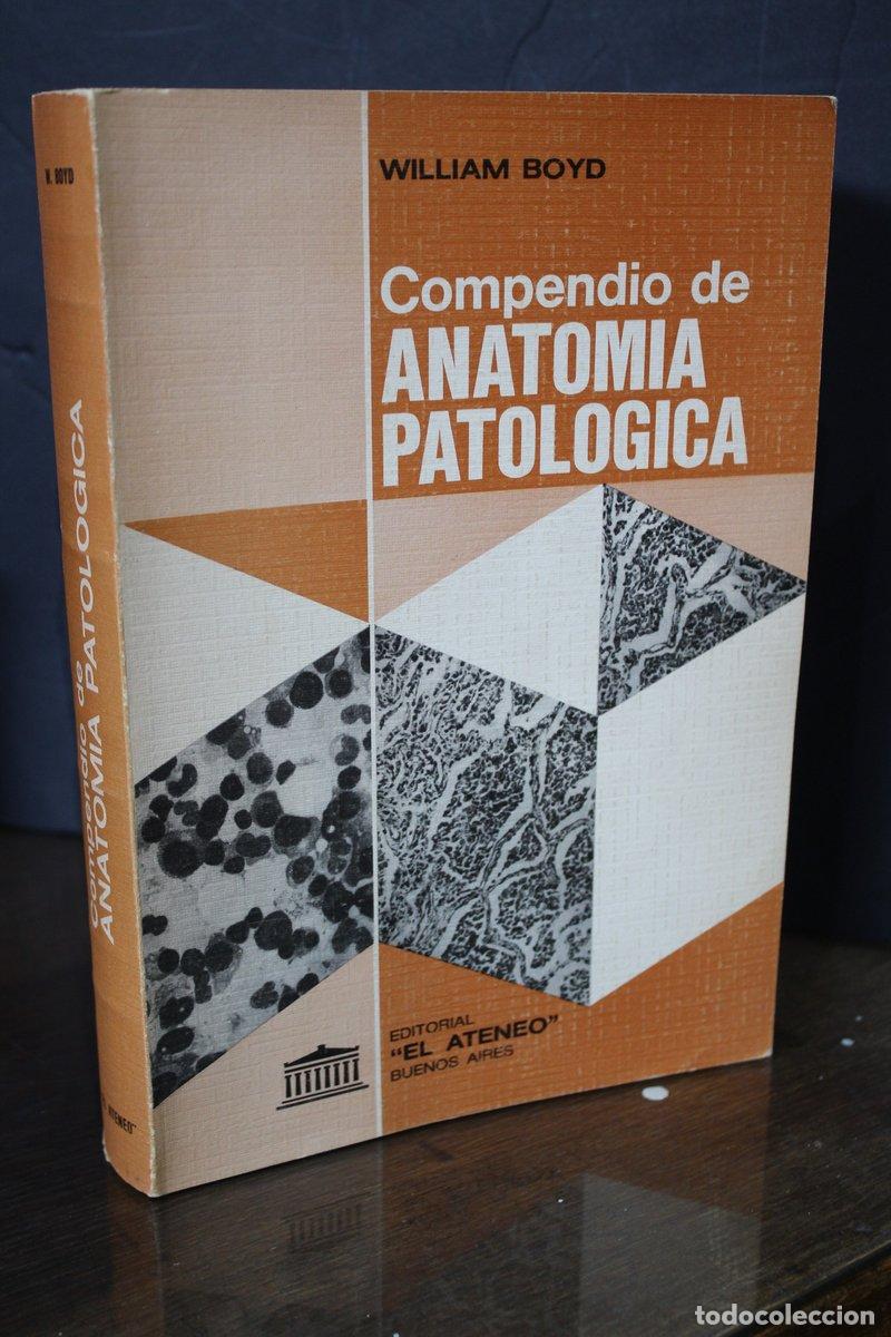 Libros de segunda mano: Compendio de Anatom&iacute;a Patol&oacute;gica - Boyd, William. - Foto 1