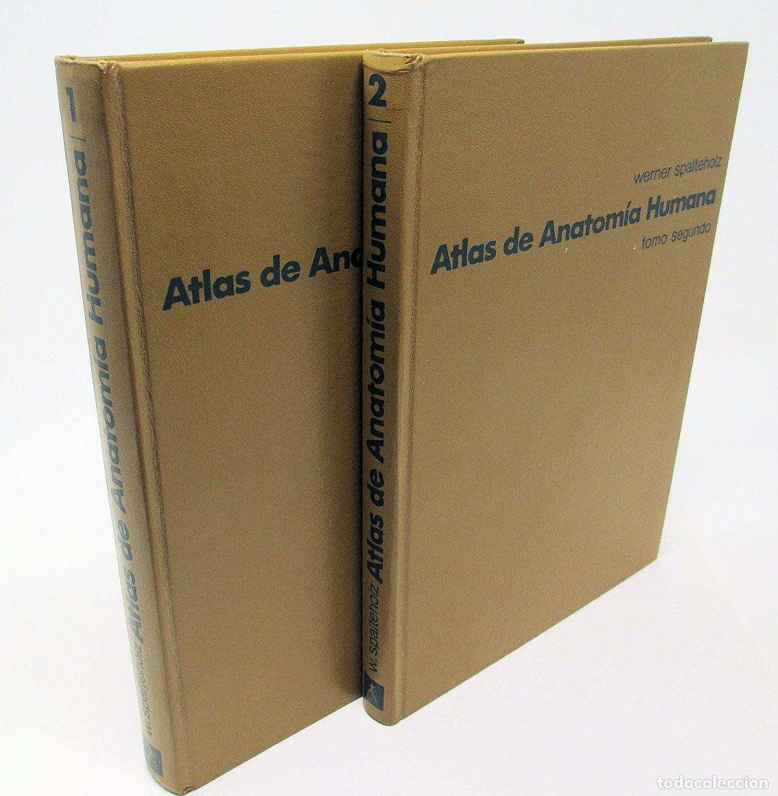 Libri di seconda mano: Atlas de Anatom&iacute;a Humana - Werner Spalteholz - Tomos 1 y 2 - 1976.