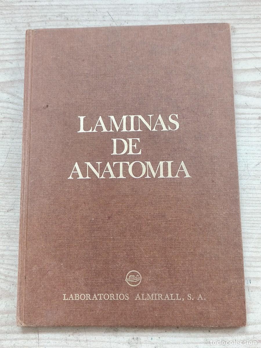 Libros de segunda mano: L&aacute;minas de Anatom&iacute;a - Laboratorios Almirall, S.A. - Foto 1
