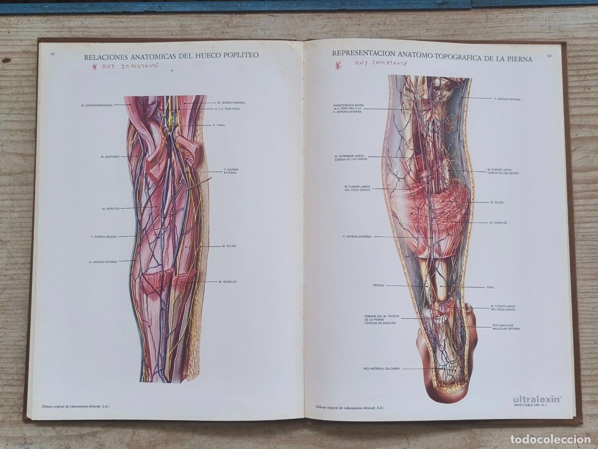 Libros de segunda mano: L&aacute;minas de Anatom&iacute;a - Laboratorios Almirall, S.A. - Foto 4
