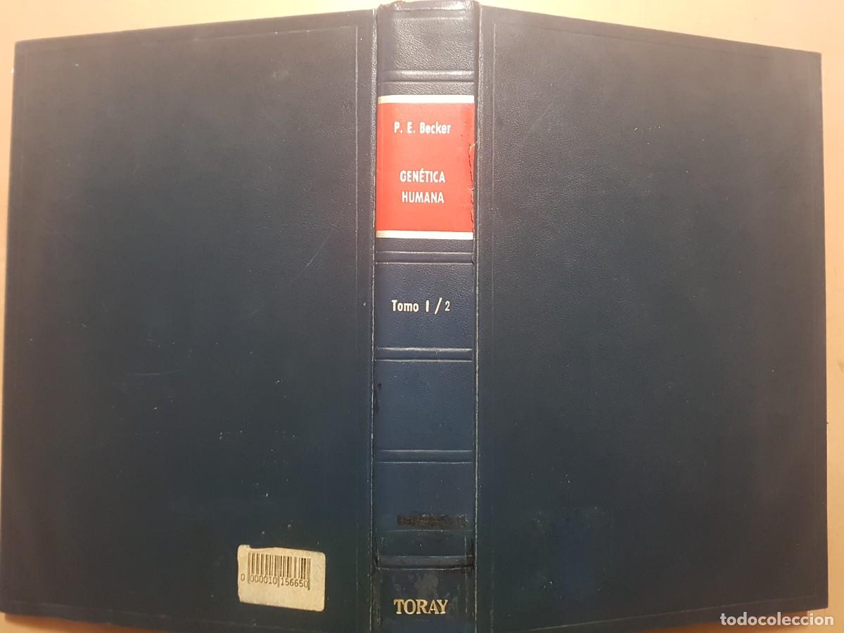 Gebrauchte B&uuml;cher: GEN&Eacute;TICA HUMANA - TOMO 1/2 - P.E.BECKER - ED. TORAY - A&Ntilde;O 1966 (ILUSTRADO)