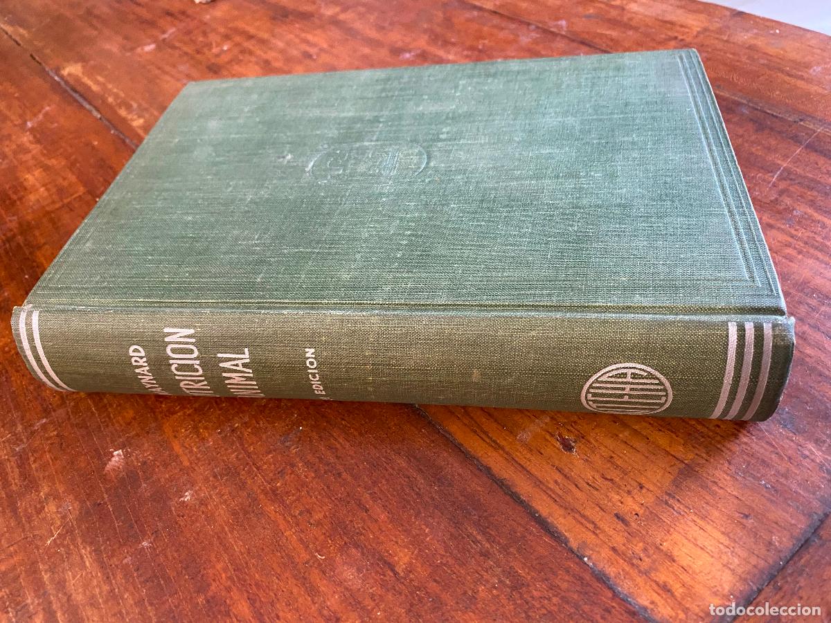 Libros de segunda mano: NUTRICI&Oacute;N ANIMAL. Fundamentos de la alimentaci&oacute;n del ganado. - Maynard. Leonard A. Mexico