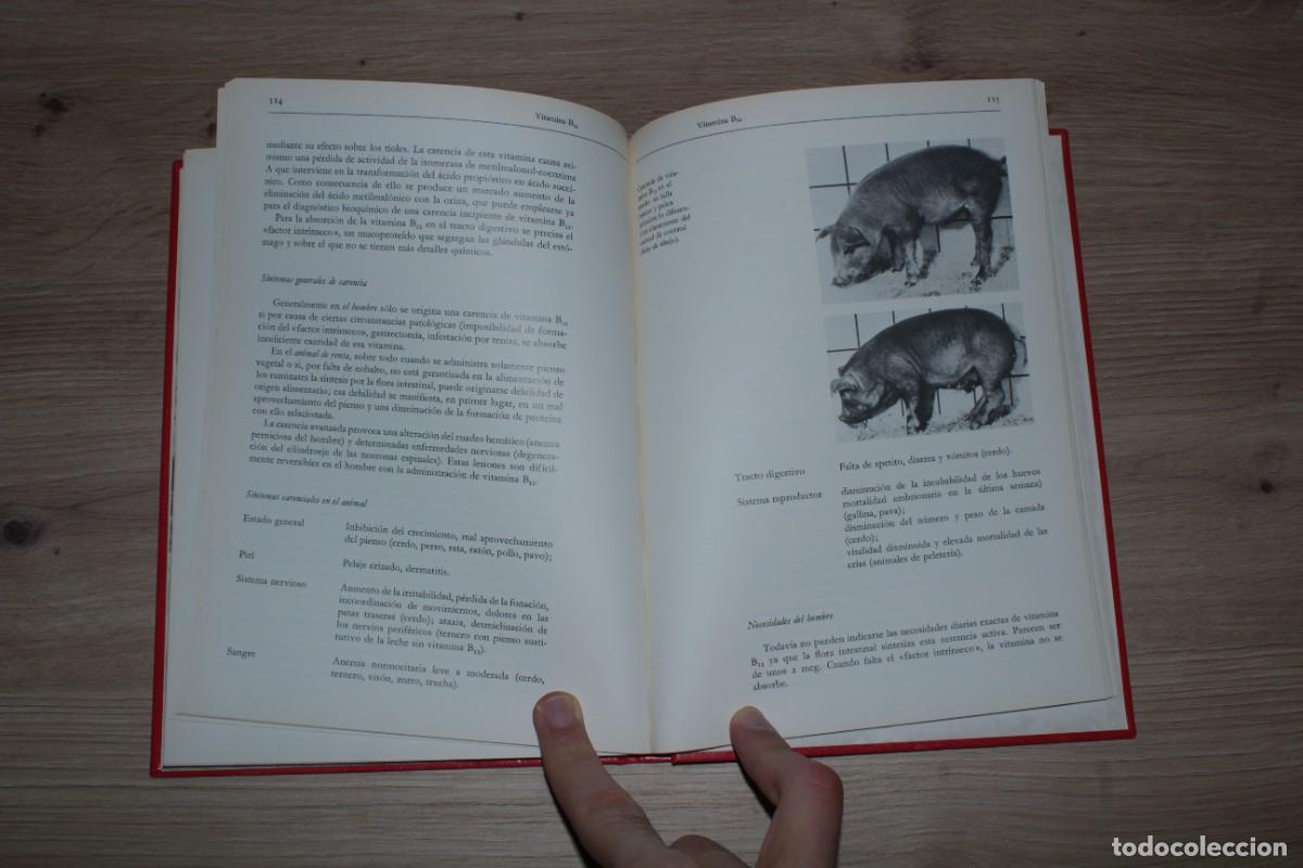 Libros de segunda mano: Compendio de vitaminas Roche - Foto 5