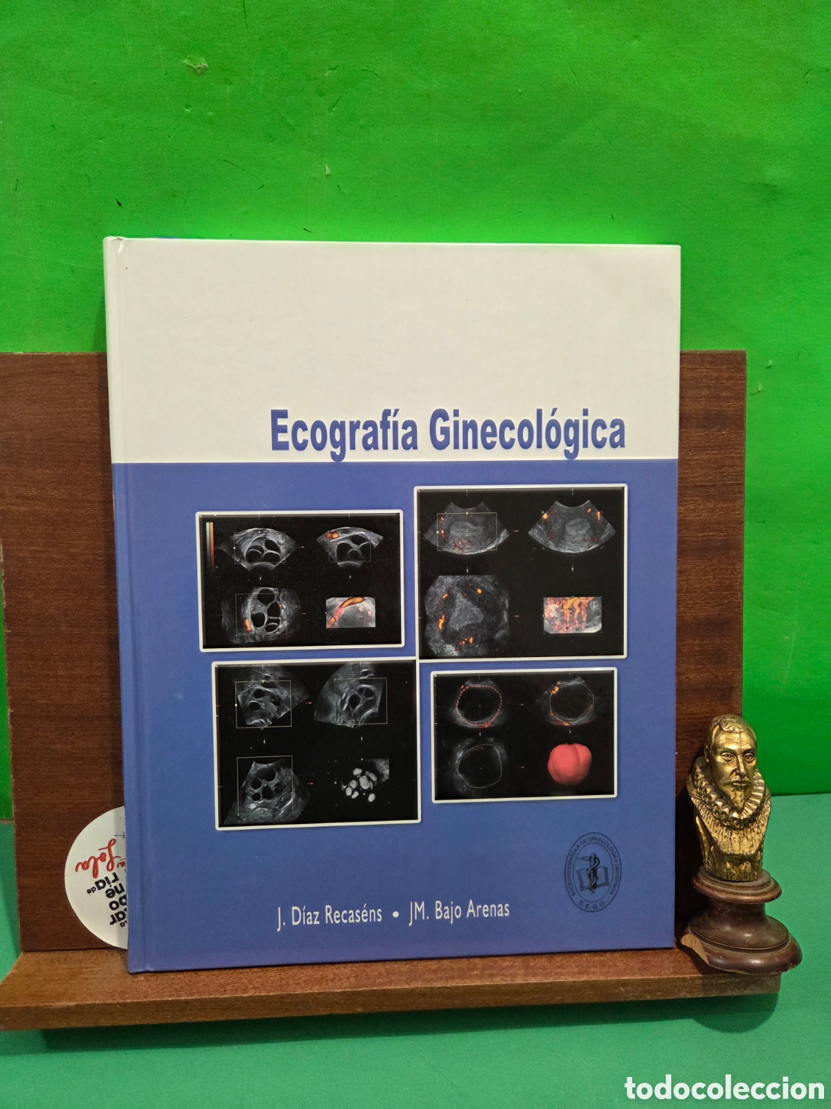 Libros de segunda mano: &rdquo;&rdquo;ECOGRAFIA GINEC&Oacute;LOGICA&rdquo;&rdquo;....VV.AA....S E.G.O...2012...
