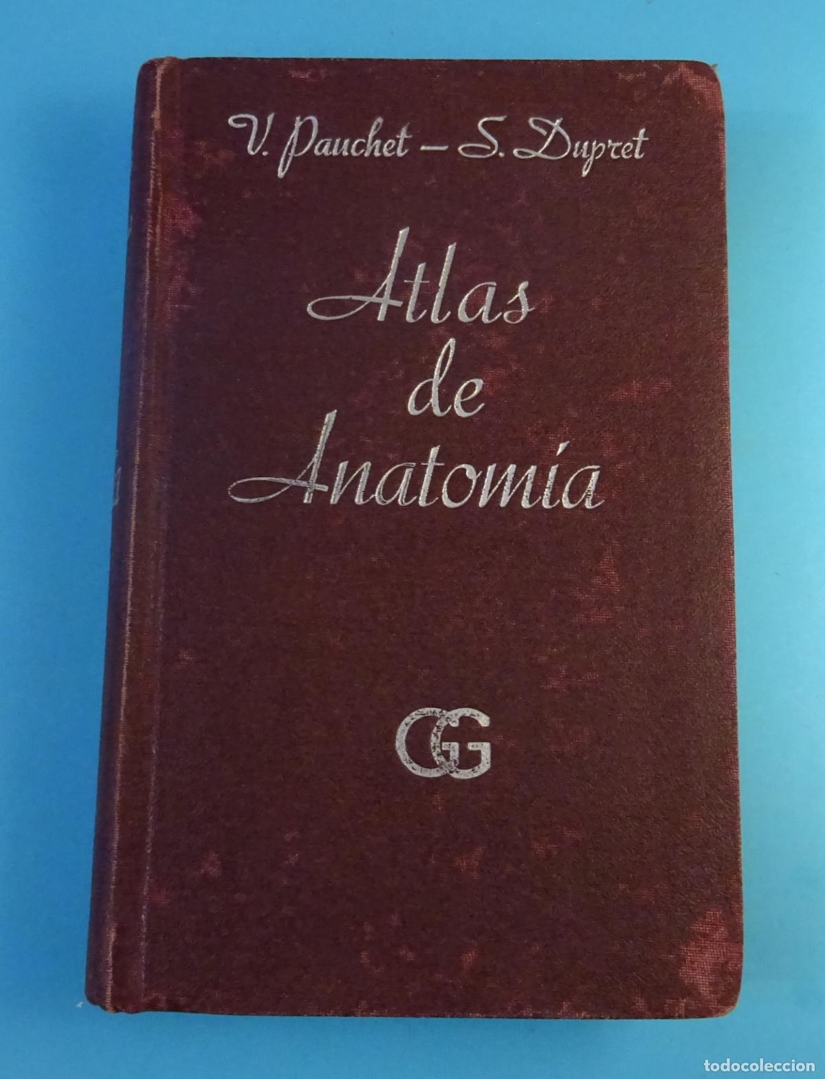 Libros de segunda mano: ATLAS DE ANATOM&Iacute;A. PAUCHET- DUPRET. GUSTAVO GILI 1965