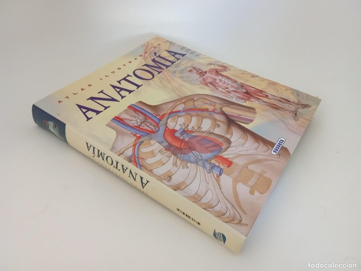 Libros de segunda mano: Atlas ilustrado de Anatom&iacute;a - Foto 1