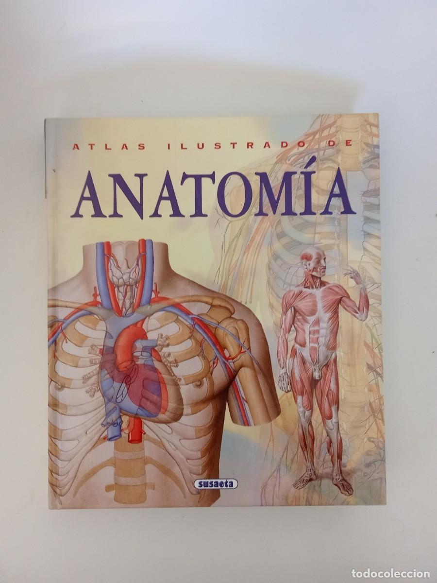 Libros de segunda mano: Atlas ilustrado de Anatom&iacute;a - Foto 2
