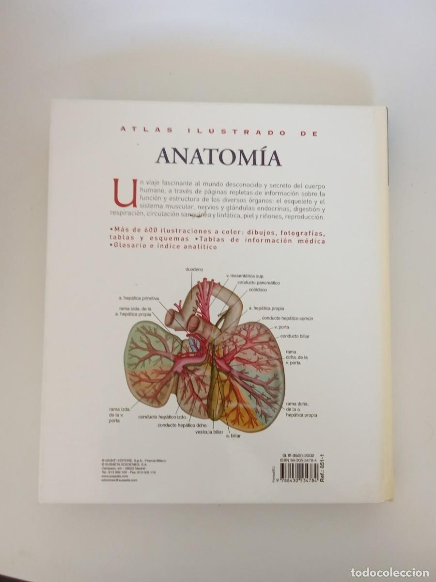 Libros de segunda mano: Atlas ilustrado de Anatom&iacute;a - Foto 5