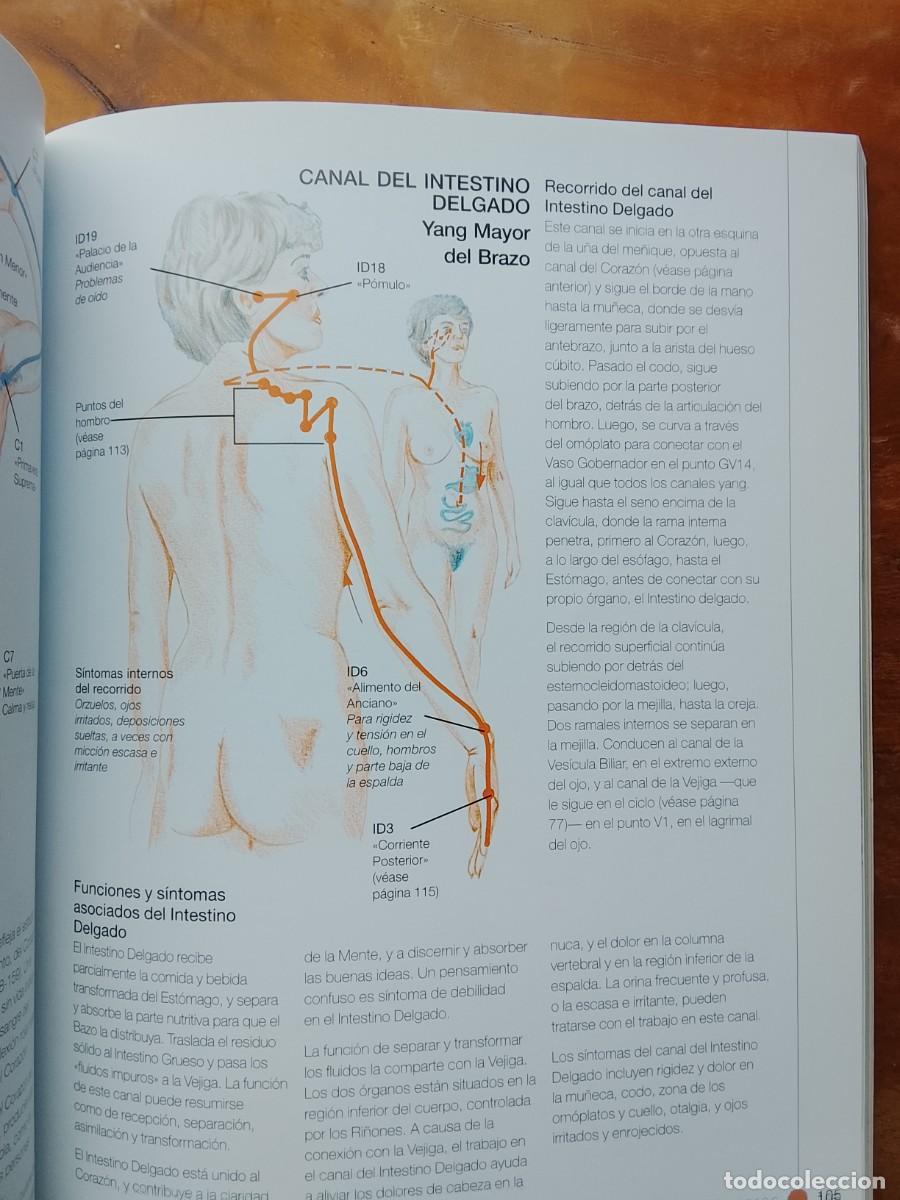 Libros de segunda mano: El libro del Shiatsu. RBA integral - Foto 6