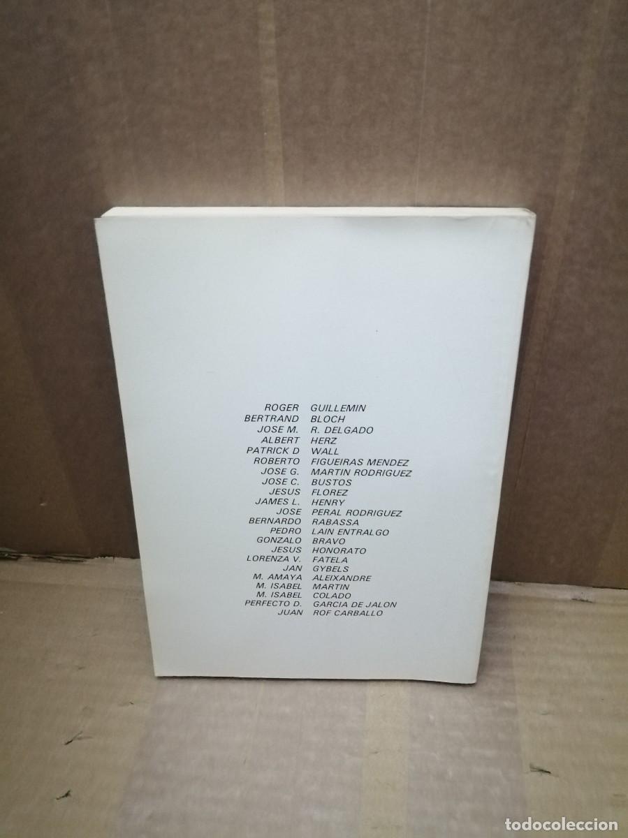 Libros de segunda mano: EL DOLOR: Mecanismos b&aacute;sicos neurofisiol&oacute;gicos y farmacol&oacute;gicos - Foto 2
