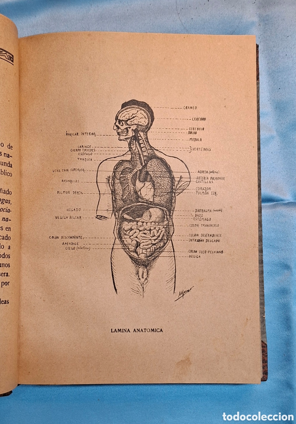 Libros de segunda mano: &ldquo;C&oacute;mo os cura la Medicina Natural&rdquo; &ndash; Dr. Eduardo Alfonso.