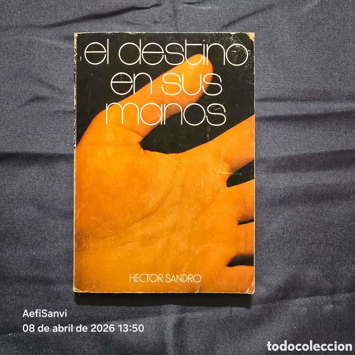 Libros de segunda mano: EL DESTINO EN SUS MANOS (HECTOR SANDRO)