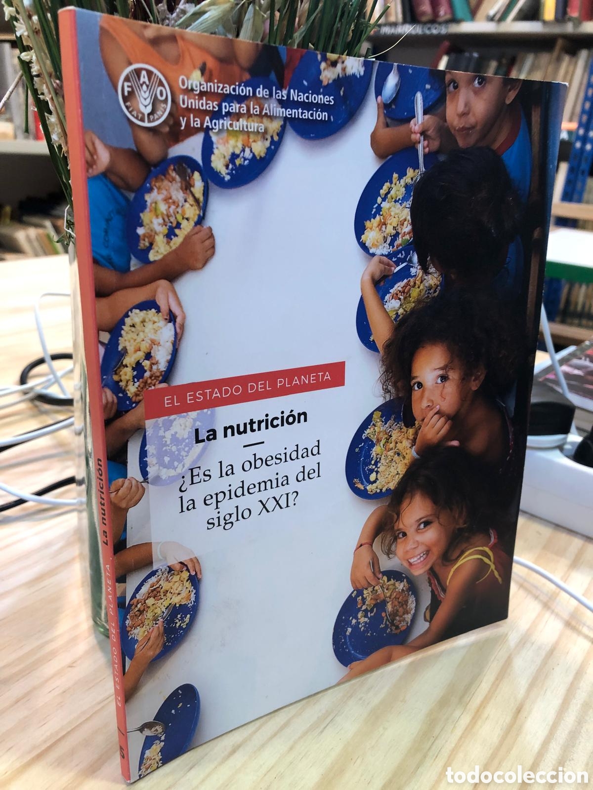 Second hand books: La nutrici&oacute;n. &iquest;Es la obesidad la epidemia del siglo XXI? - Ver&oacute;nica Rom&aacute;n (Coord.)