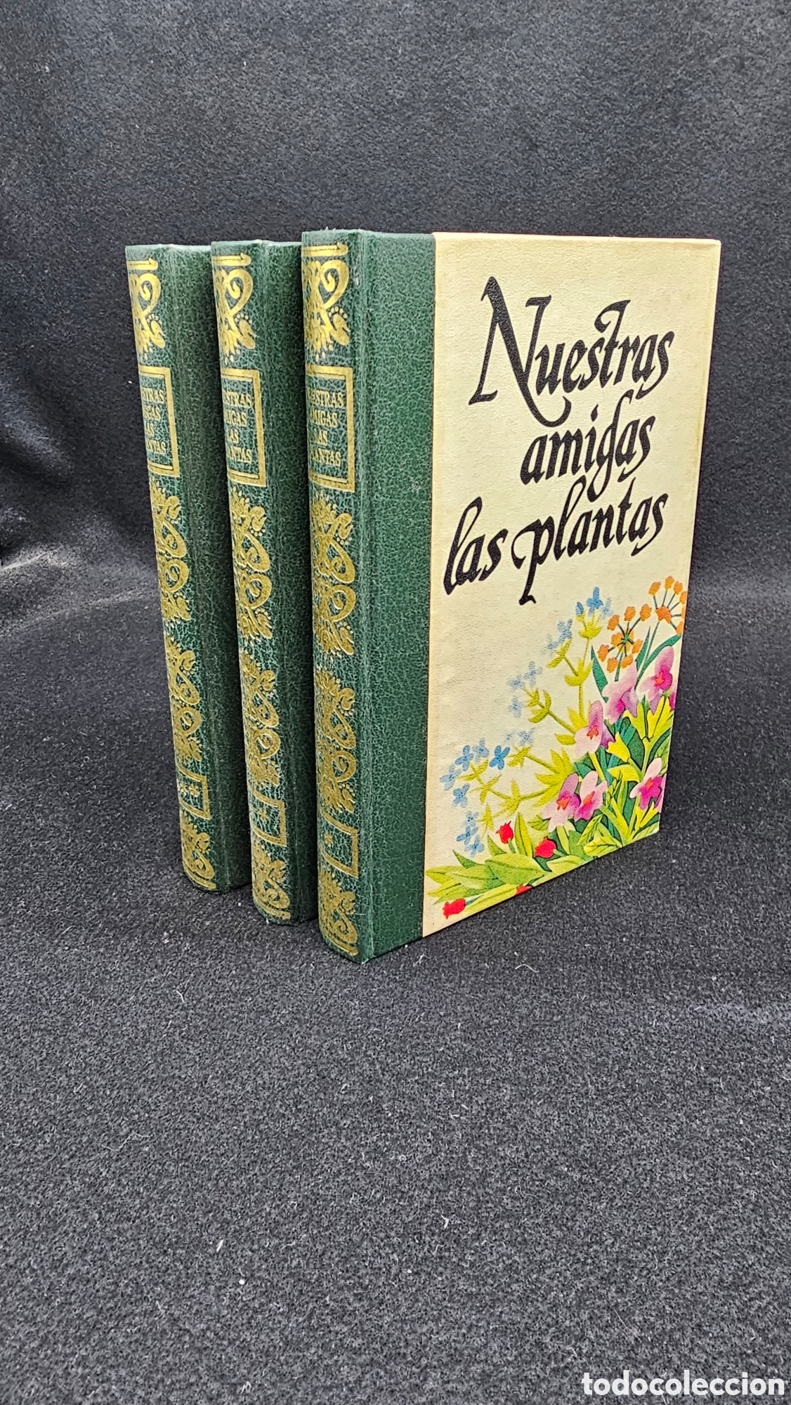 Libros de segunda mano: La salud a trav&eacute;s de las plantas 1977
