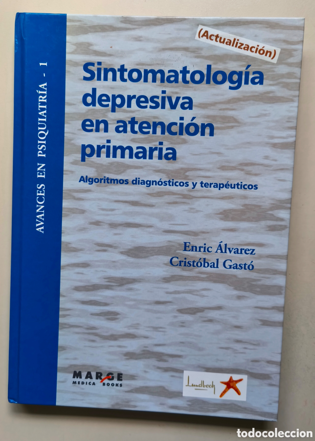 Libros de segunda mano: SINTOMATOLOGIA DEPRESIVA EN ATENCION PRIMARIA, ALGORITMOS DIAGOSTICOS Y TERAPEUTICOS