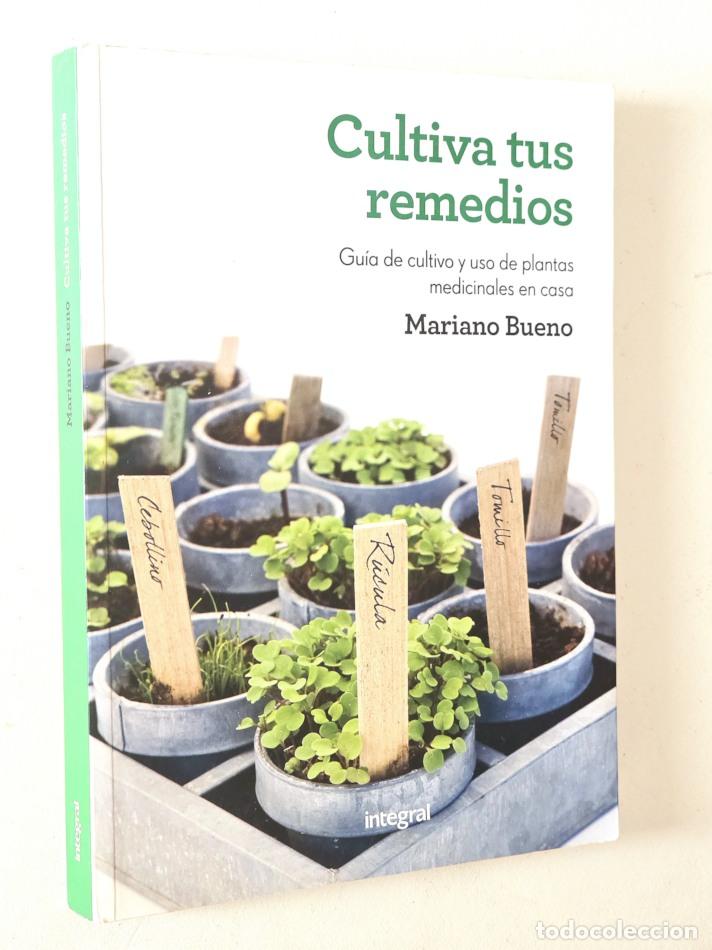 Livres d'occasion: CULTIVA TUS REMEDIOS. Gu&iacute;a de cultivo y uso de plantas medicinales en casa. - BUENO, Mariano