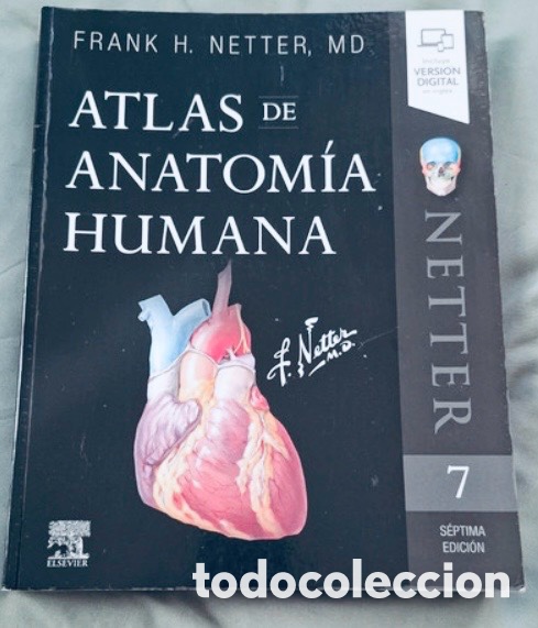 Libros de segunda mano: ATLAS DE ANATOM&Iacute;A HUMANA. FRANK H. NETTER, MD. 7&ordf; Edici&oacute;n.