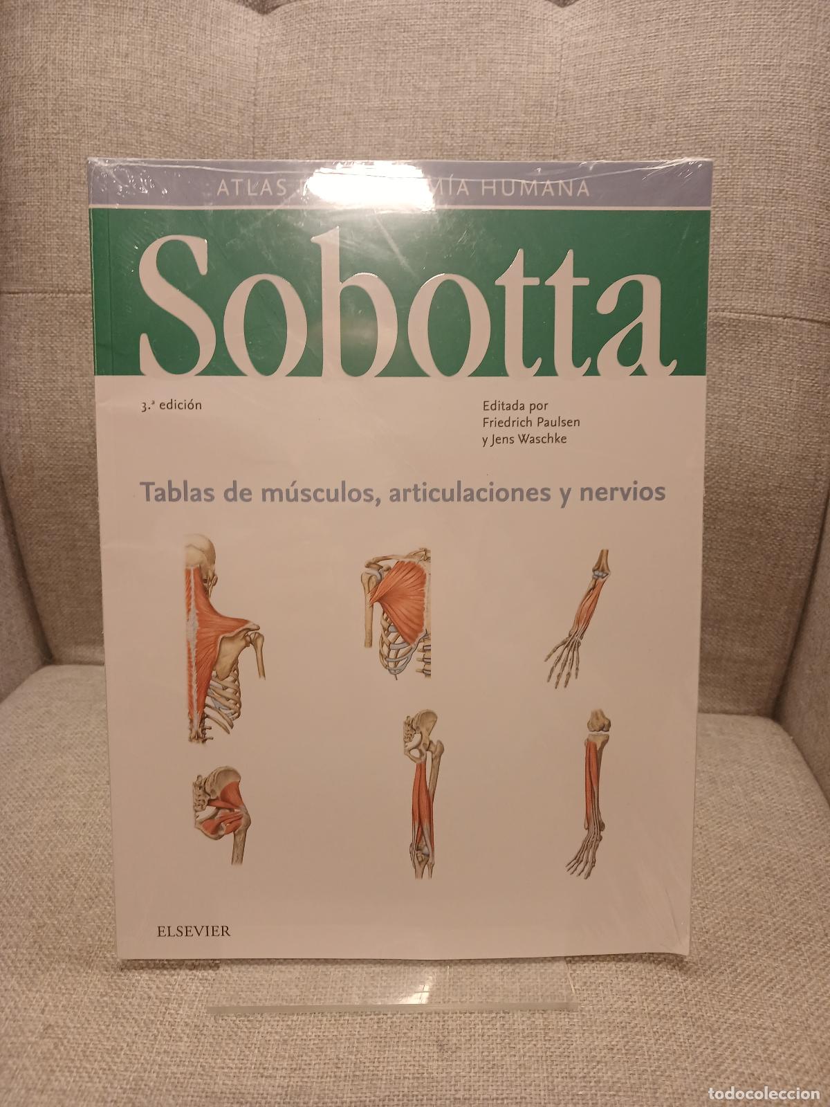 Gebrauchte B&uuml;cher: Tabla de m&uacute;sculos del Atlas de anatom&iacute;a humana - Johannes Sobotta