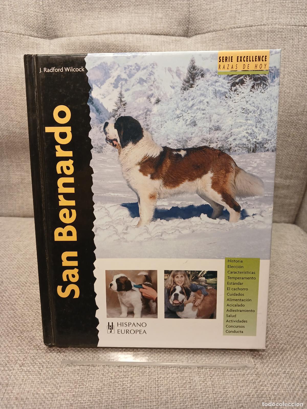 Second hand books: San Bernardo - J. Radford Wilcock