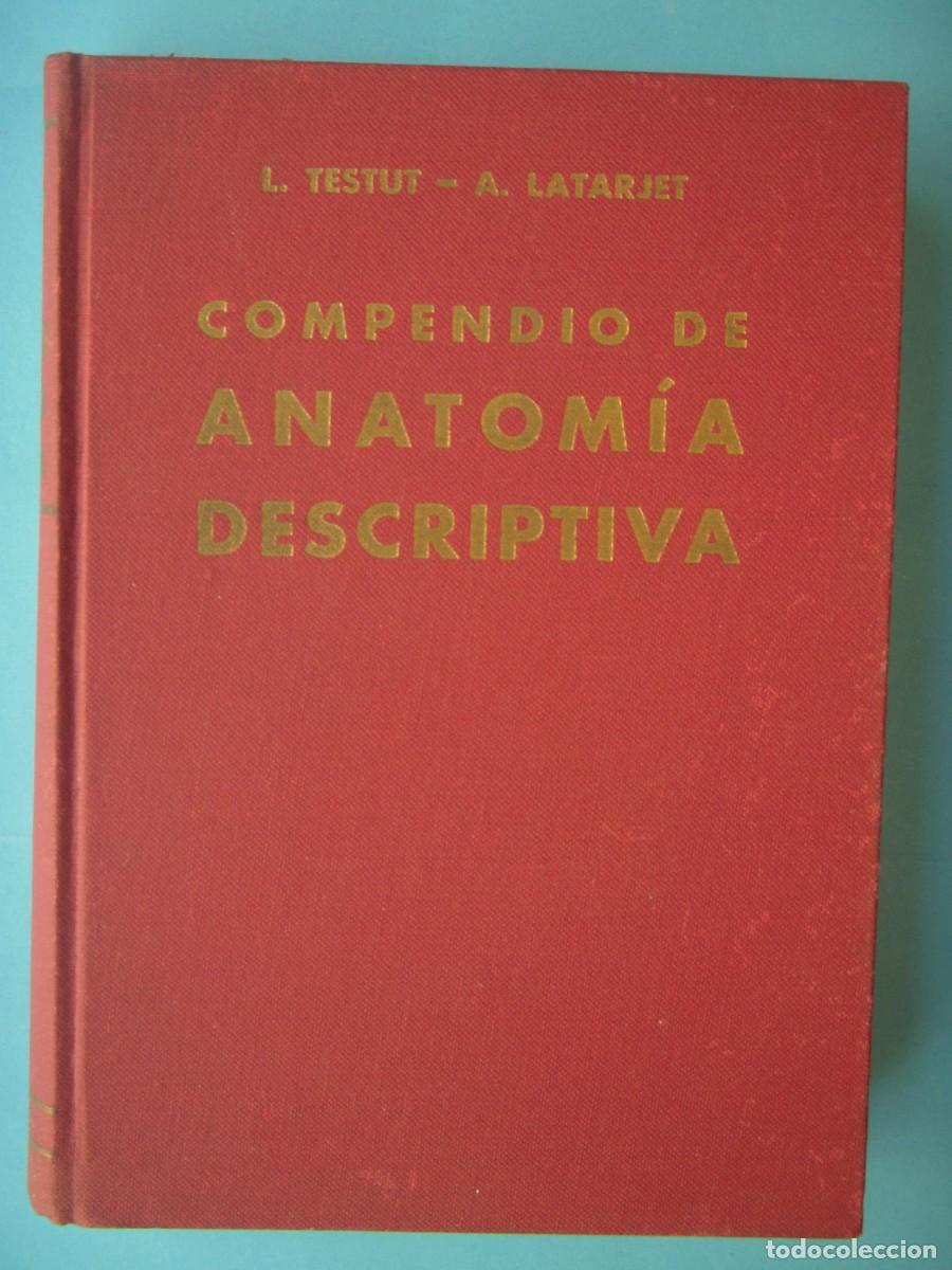 Libros de segunda mano: COMPENDIO DE ANATOMIA DESCRIPTIVA - L. TESTUT / A. LATARJET - SALVAT EDITORES, 1959 (BUEN ESTADO)