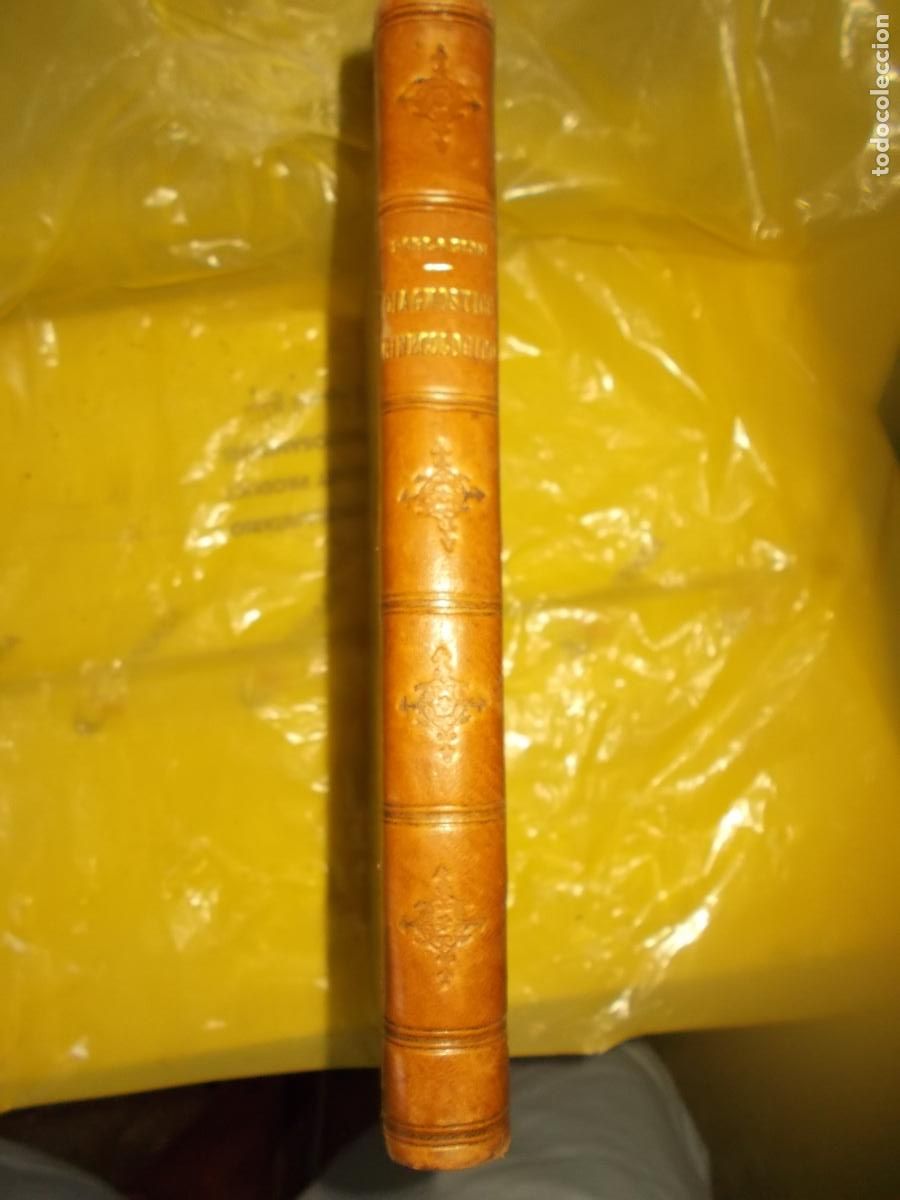 Libros de segunda mano: Manual del diagn&oacute;stico ginecol&oacute;gico. Prof. C. Poblaci&oacute;n