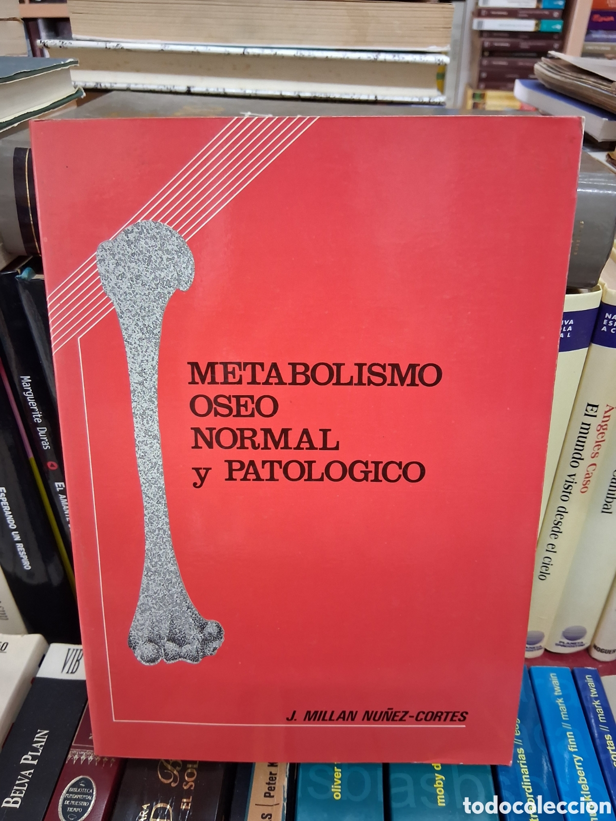 Gebrauchte B&uuml;cher: Metabolsimo oseo normal y patologico - J.Millan Nu&ntilde;ez-Cortes