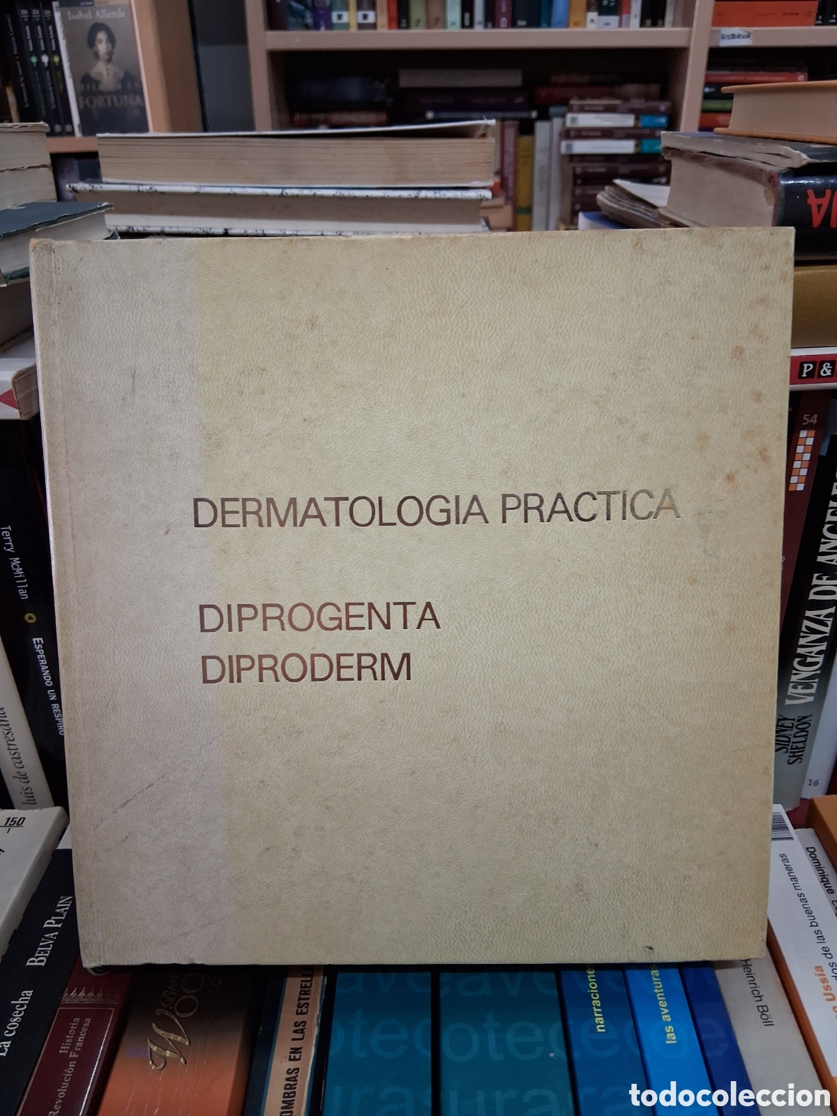 Gebrauchte B&uuml;cher: Dermatologia Practica - Diprogenta Diproderm