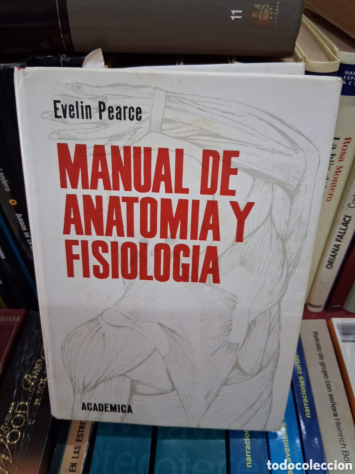 Libros de segunda mano: Manual de anatom&iacute;a y fisiolog&iacute;a. Evelin Pearce. Primera edicionbtapa dura