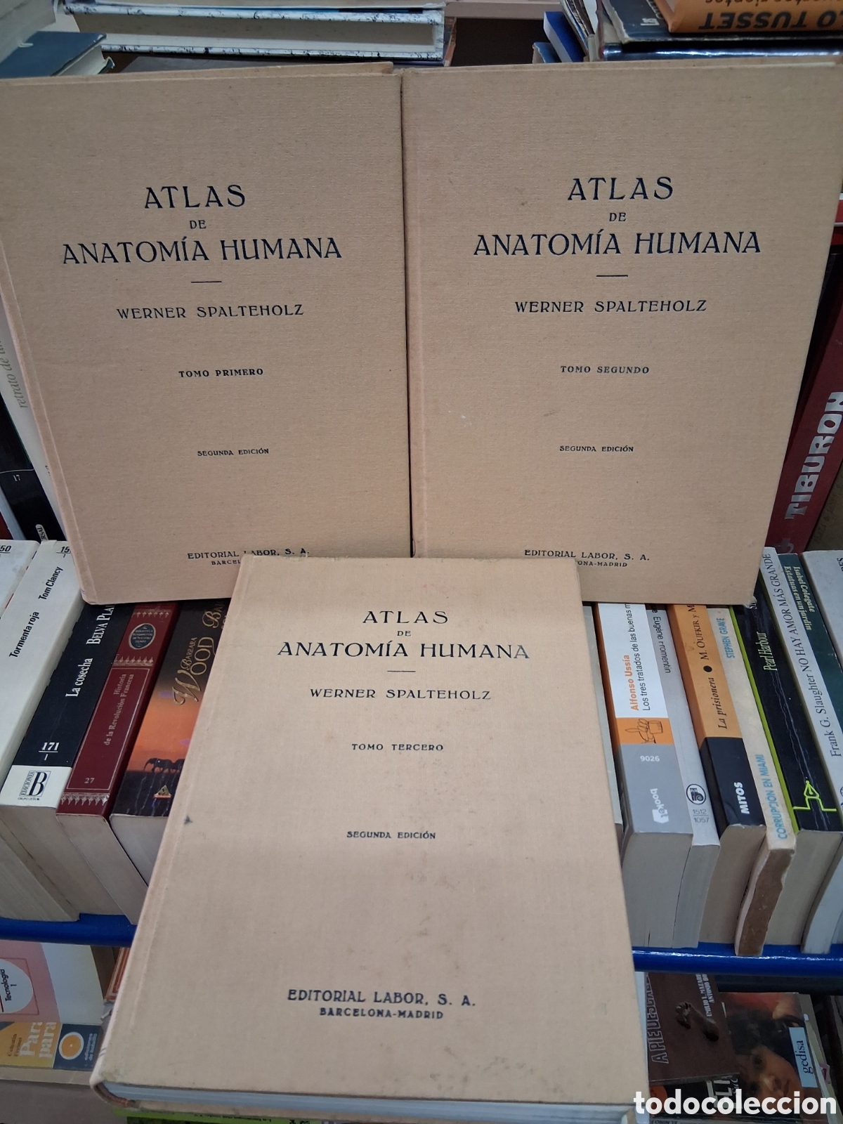 Libros de segunda mano: Atlas del anatom&iacute;a humana - Werner Spateholz. 2a edicion