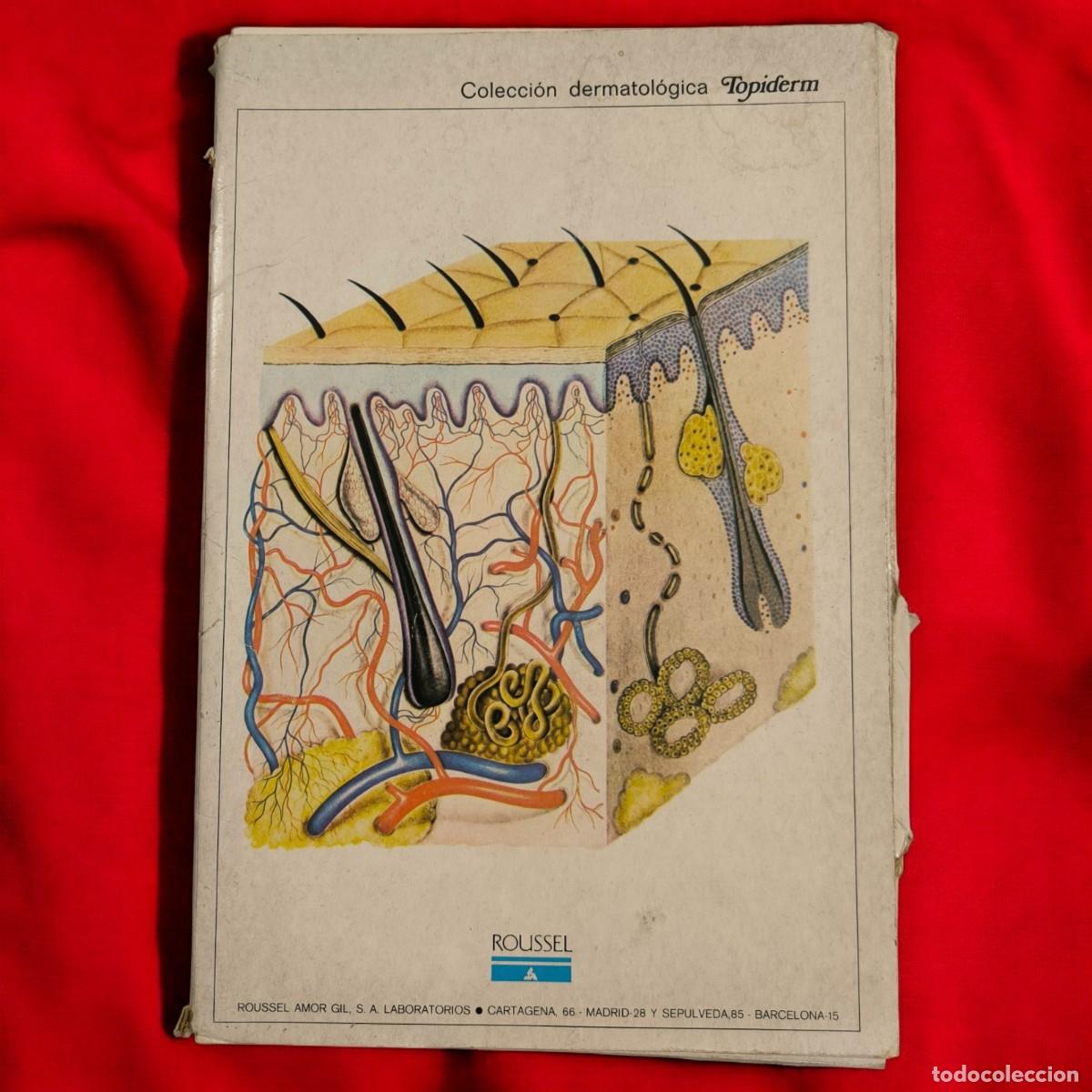 Libros de segunda mano: Colecci&oacute;n Dermatol&oacute;gica Topiderm &ndash; Laboratorios Roussel &ndash; Estuche Completo Con 24 Fasc&iacute;culos