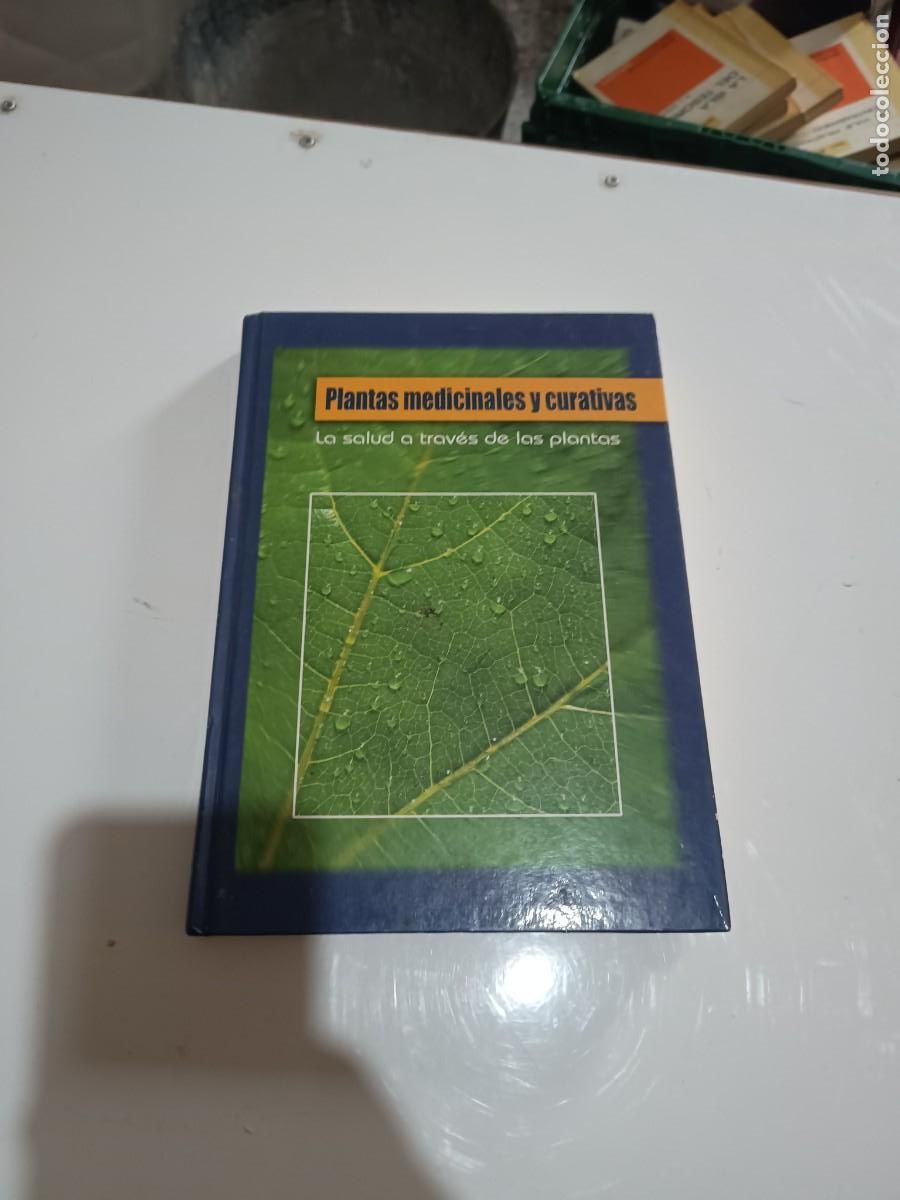 Libros de segunda mano: PLANTAS MEDICINALES Y CURATIVAS - LA SALUD A TRAVES DE LAS PLANTAS