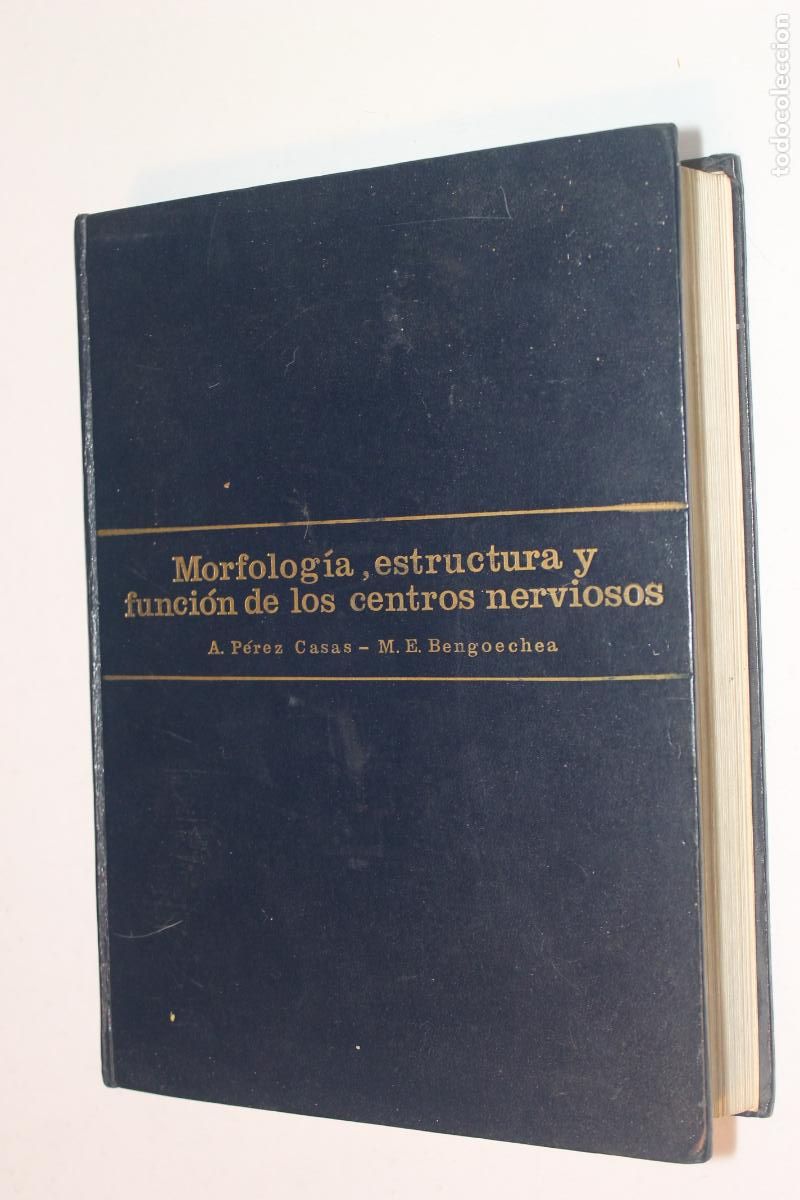 Libros de segunda mano: Morfolog&iacute;a, Estructura y Funci&oacute;n de los Centros Nerviosos - P&eacute;rez Casas / Bengoechea -1977