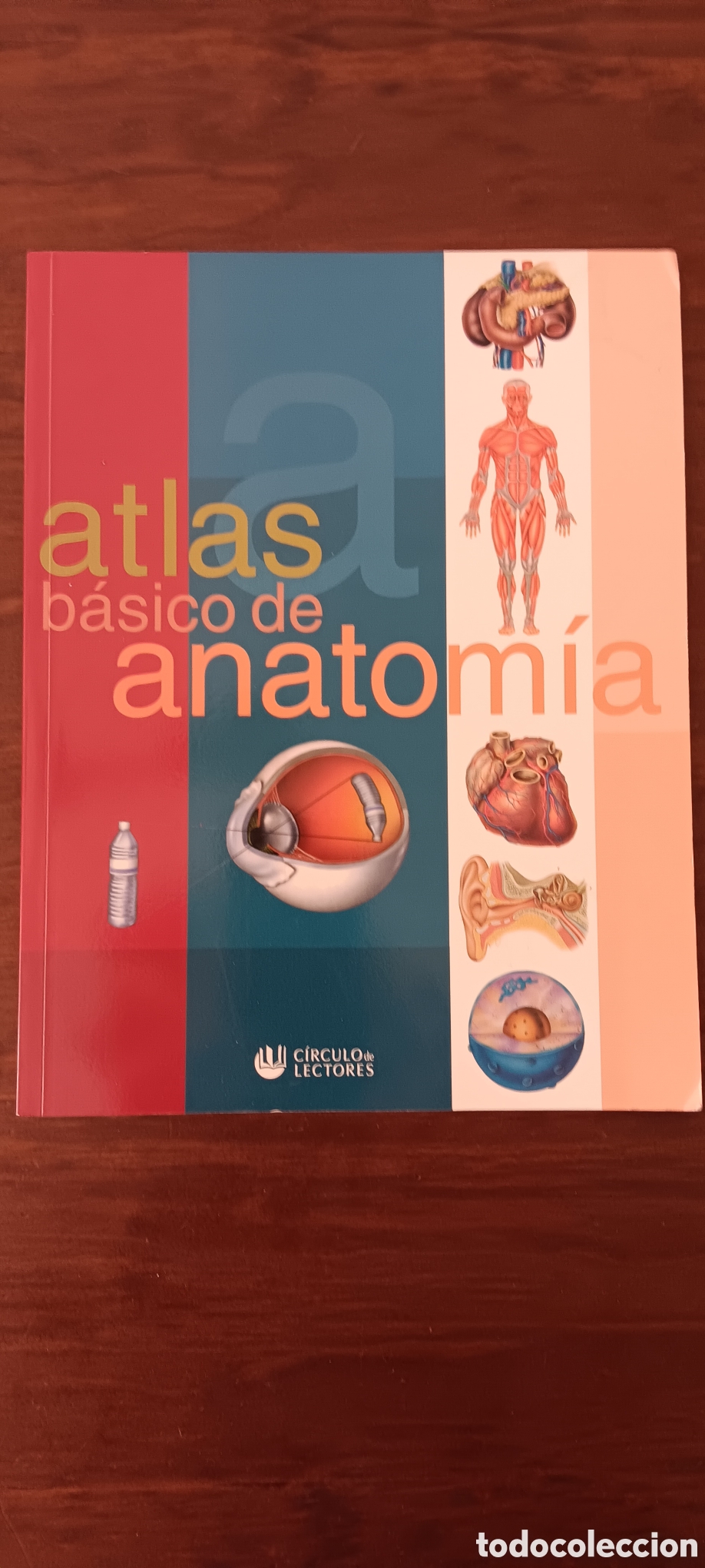 Libros de segunda mano: ATLAS BASICO DE ANATOMIA