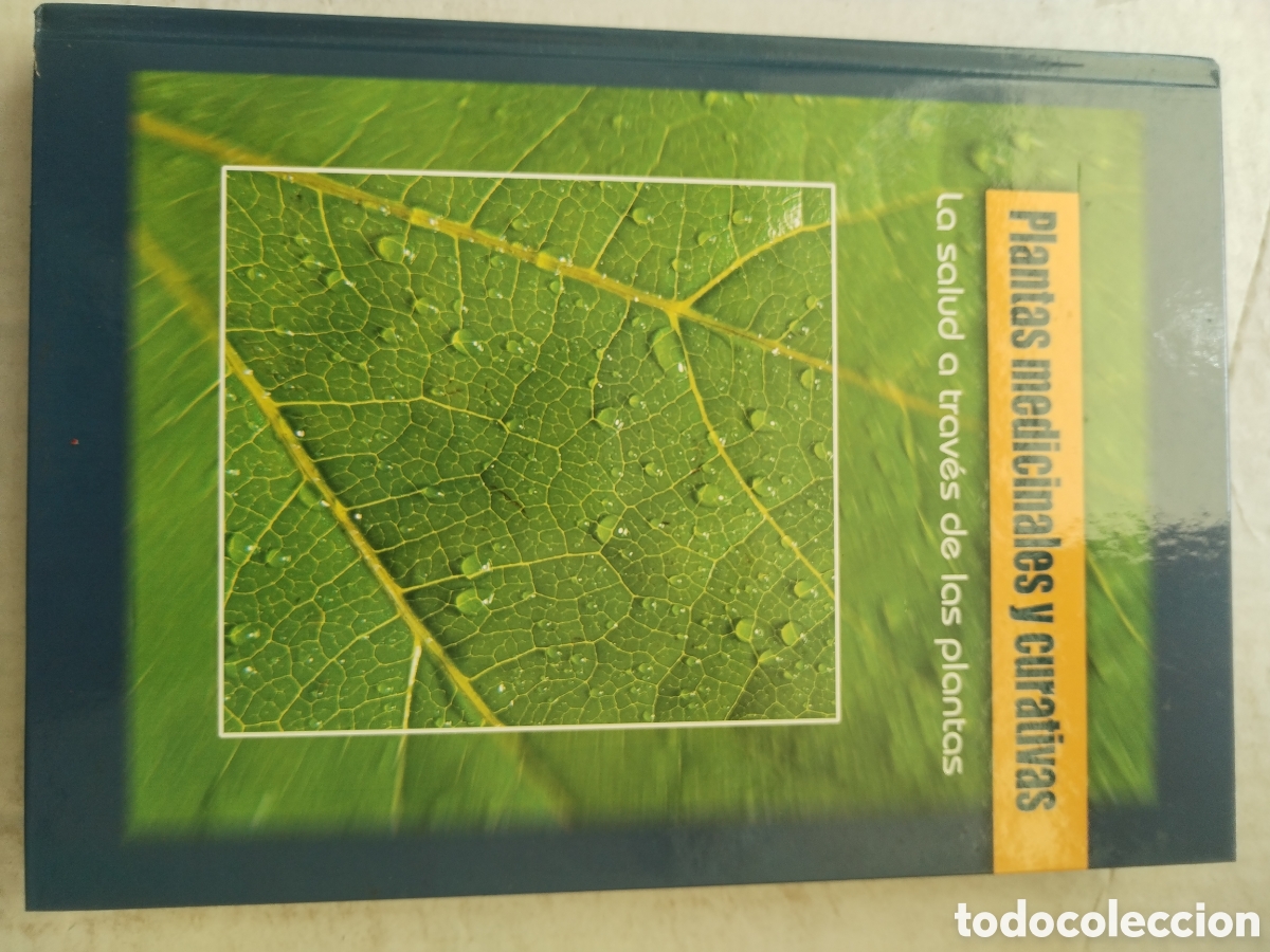 Libros de segunda mano: PLANTAS MEDICINALES Y CURATIVAS