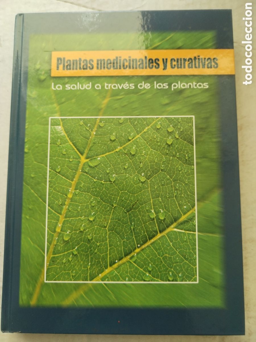 Libros de segunda mano: PLANTAS MEDICINALES Y CURATIVAS