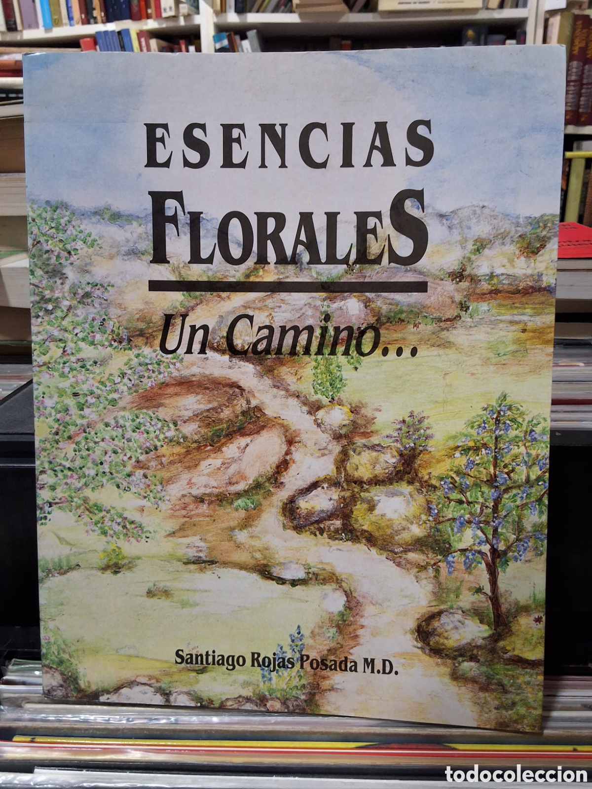 Libros de segunda mano: ESENCIAS FLORALES - UN CAMINO... - S. ROJAS - FLORES DE BACH - MEDICINA NATURAL FLORAL