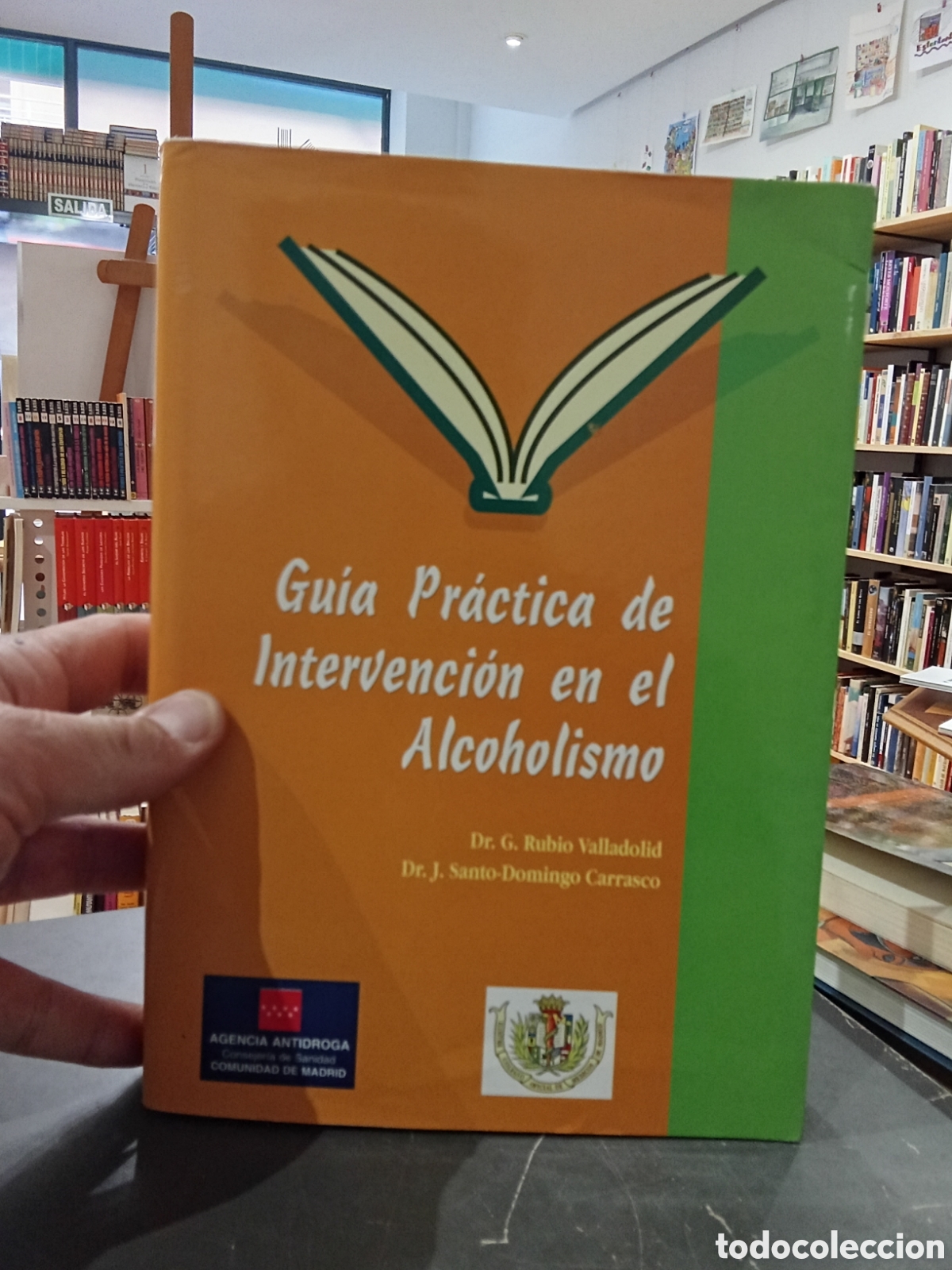 Second hand books: Guia pr&aacute;ctica de intervenci&oacute;n en el Alcoholismo - Dr. Rubio Valladolid y Dr. Santo Domingo Carrasco