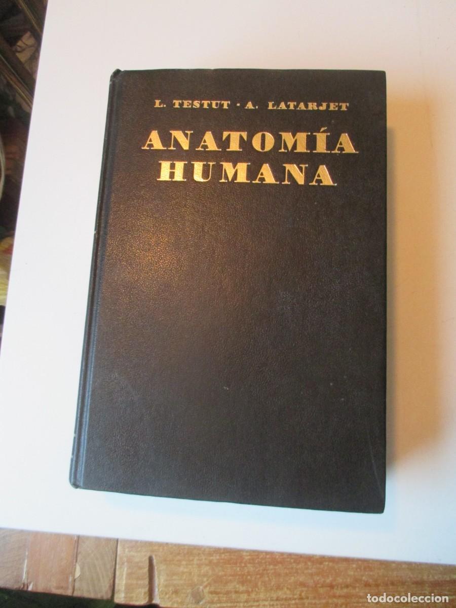 Libros de segunda mano: L. TESTUD- A. LATARJET Tratado de Anatom&iacute;a humana Tomo II W39840